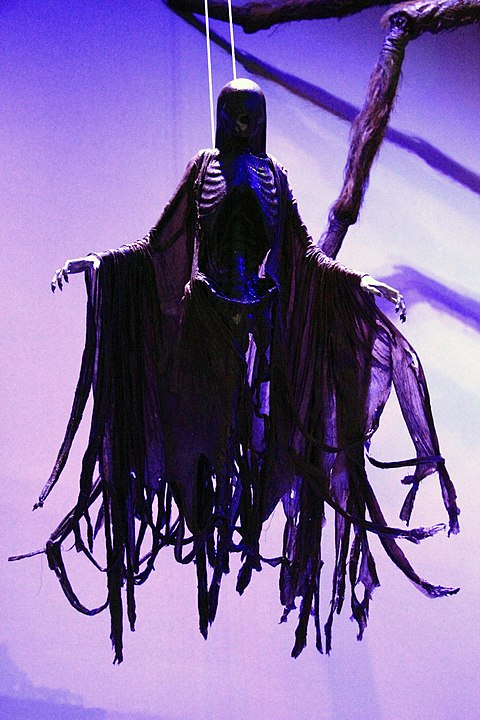 480px-The_Making_of_Harry_Potter_29-05-2012_(Dementor).jpg