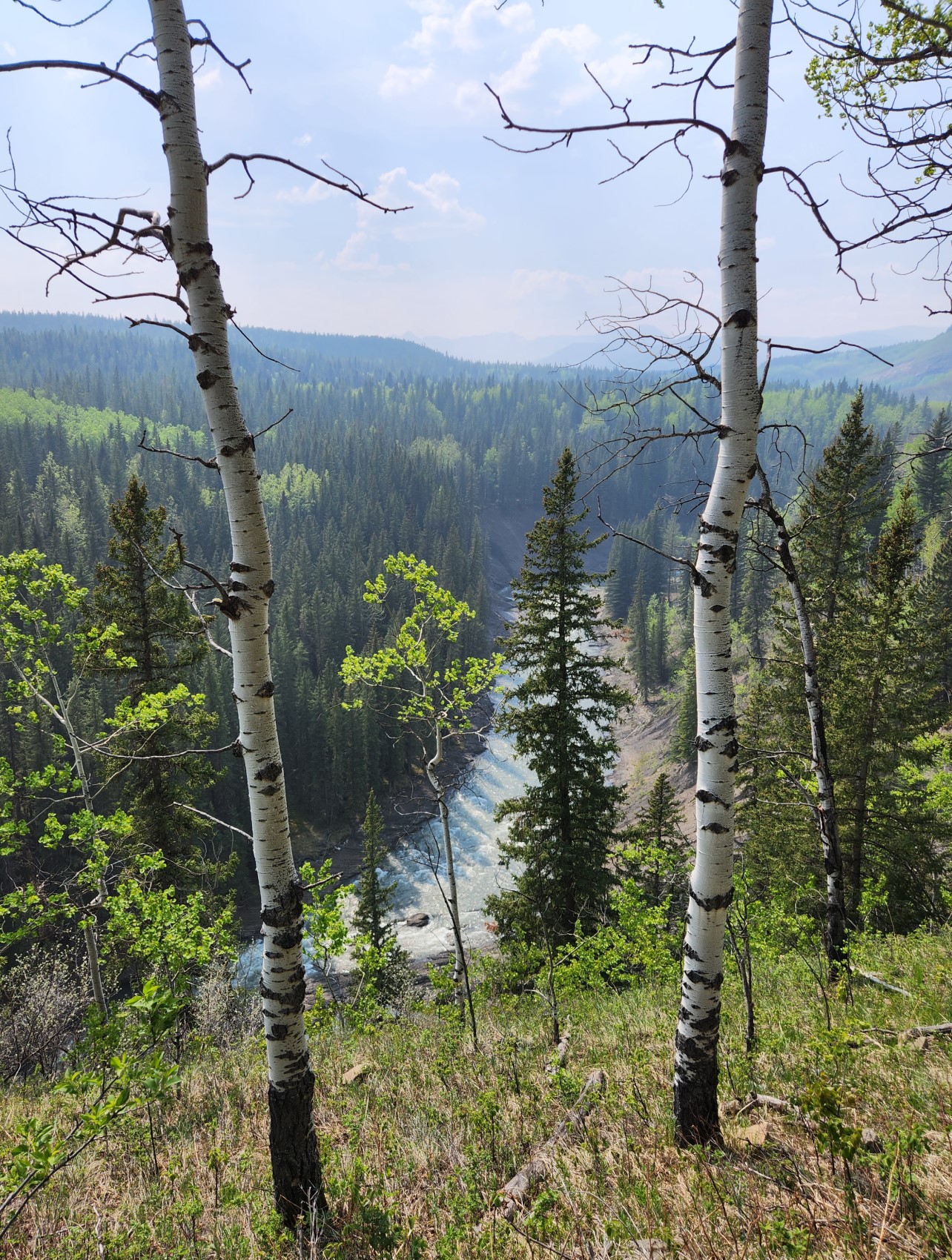 20230520_155956.jpg
