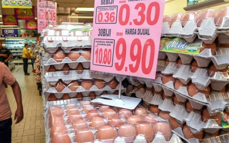 Increase egg price