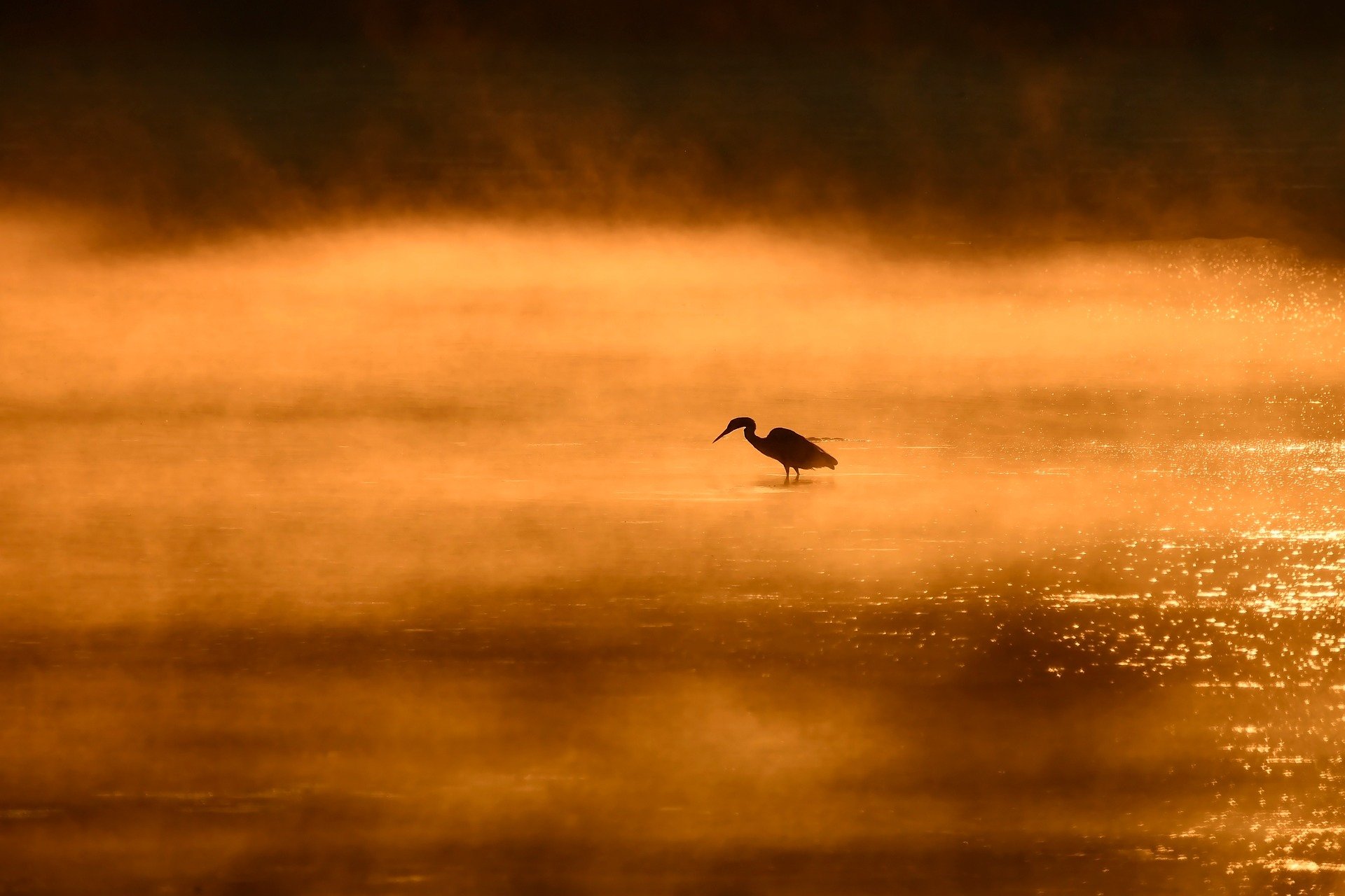 sunrise-9750192_1920.jpg