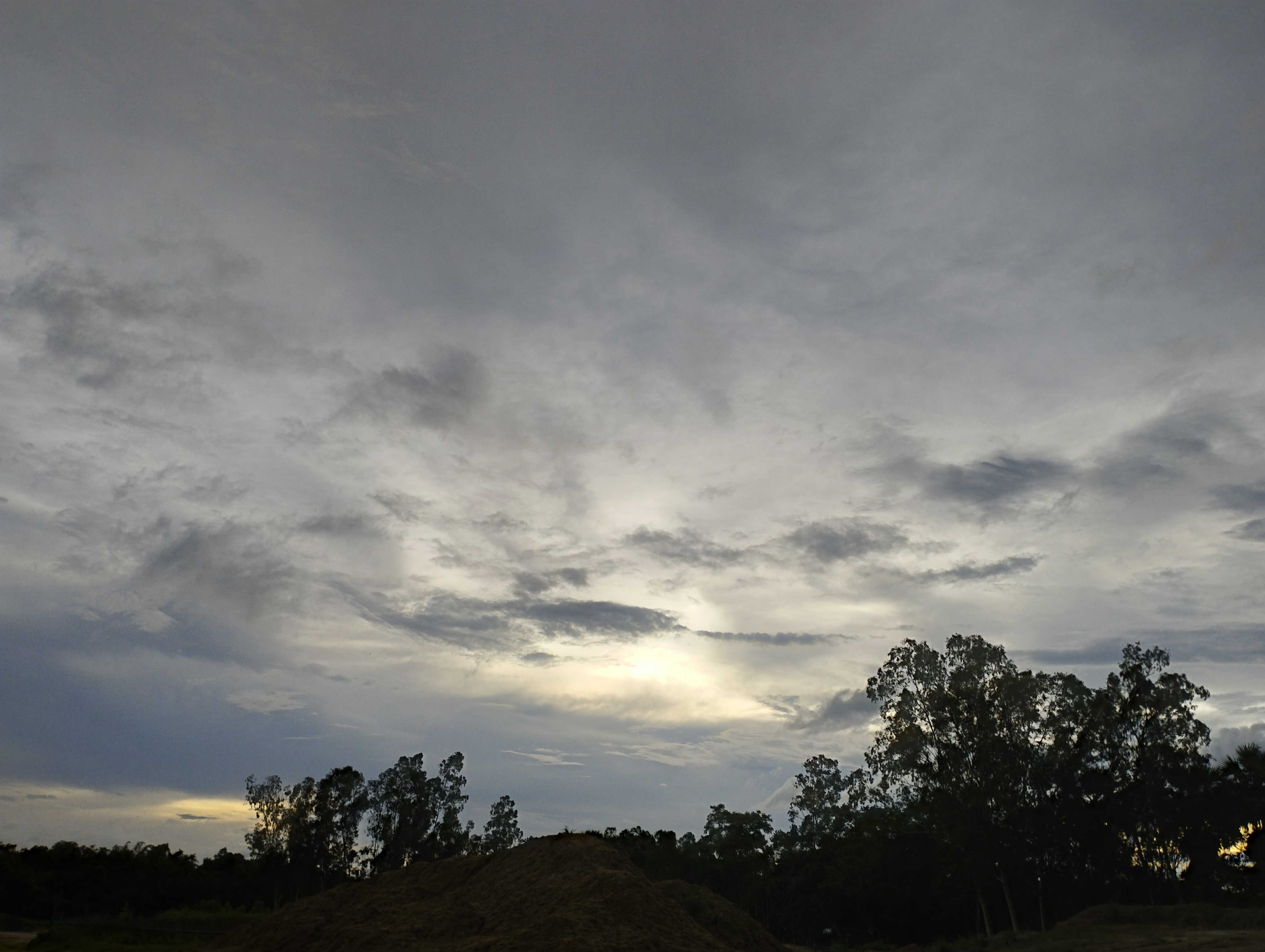 IMG_20230706_182951.jpg