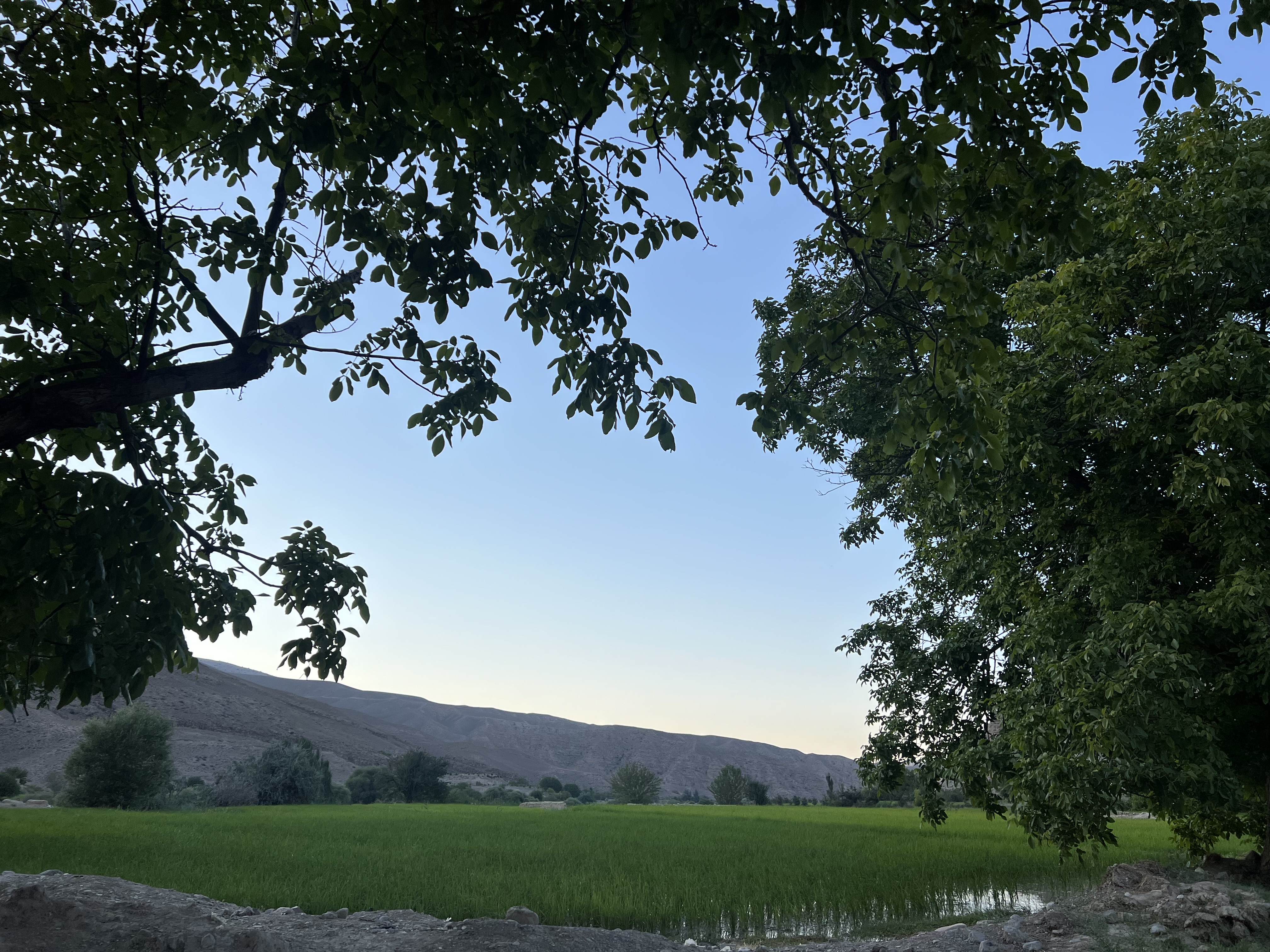 IMG_5736.jpeg
