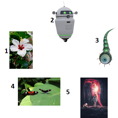 imagen.png