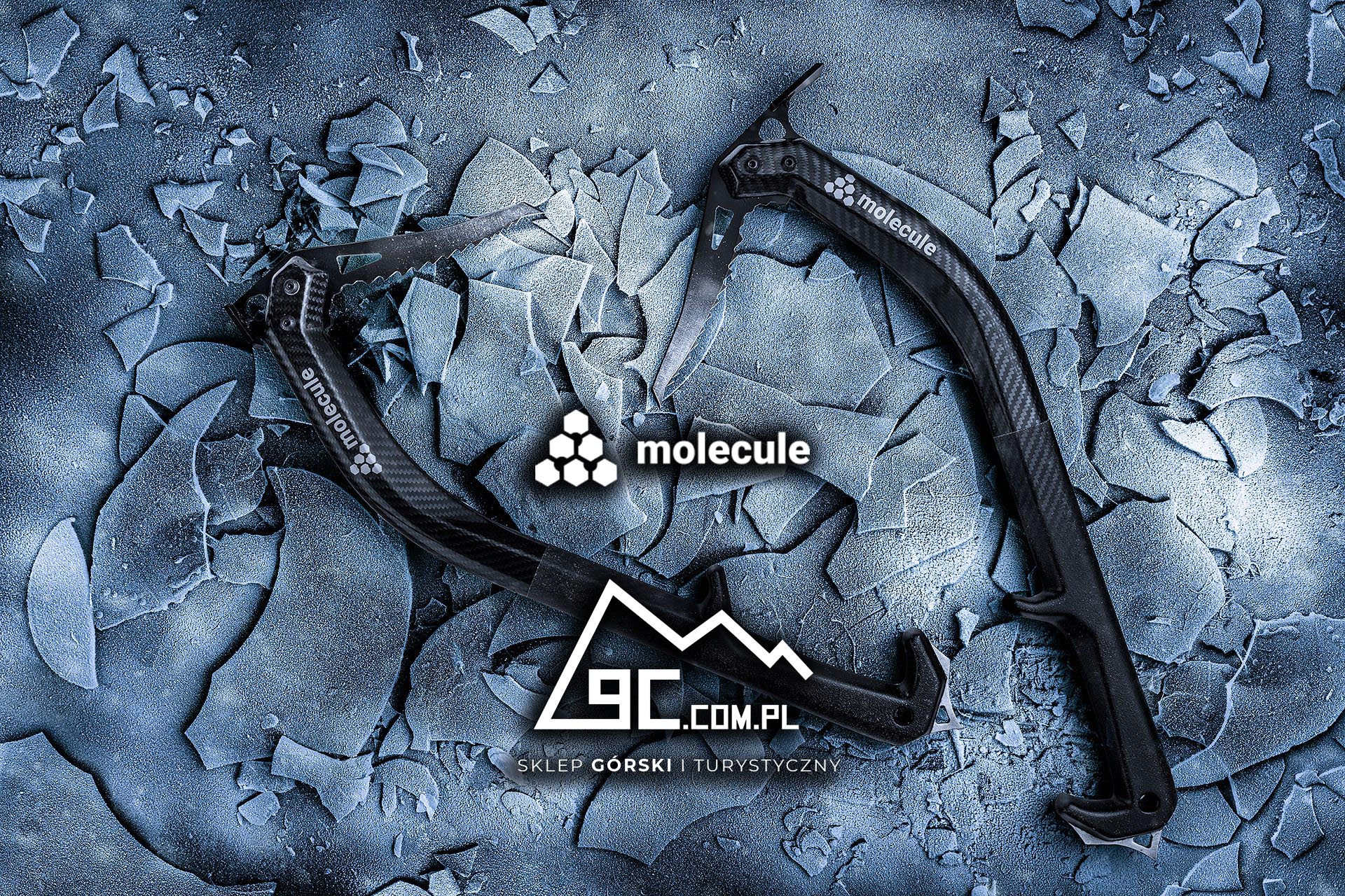 Molecule Alpine Ice Axe logo.jpg