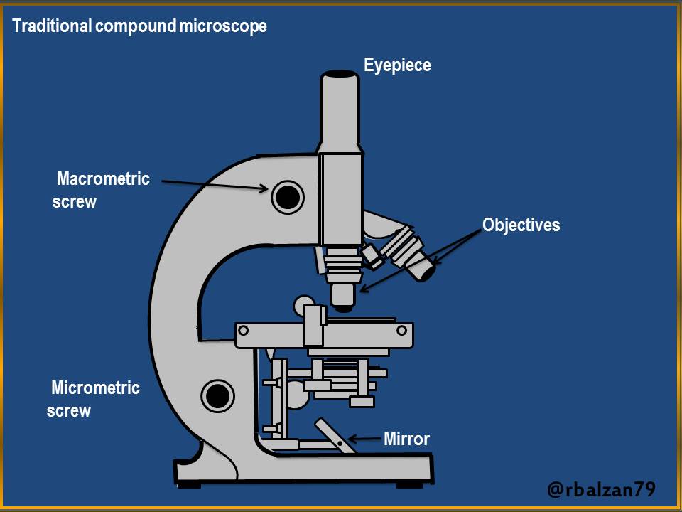 Microscope.JPG