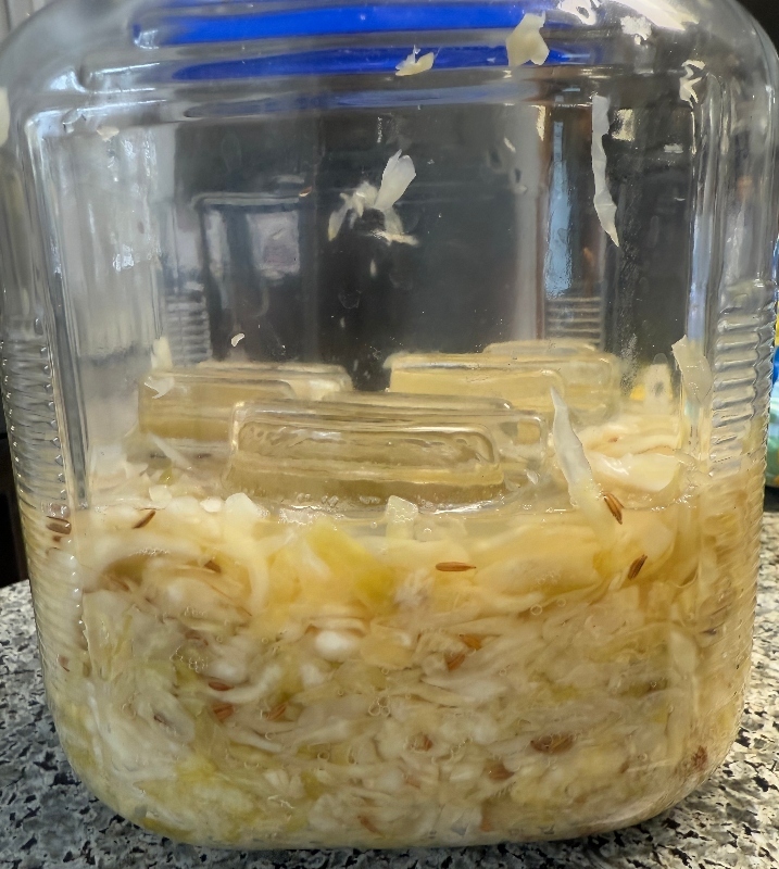 sauerkraut.jpg