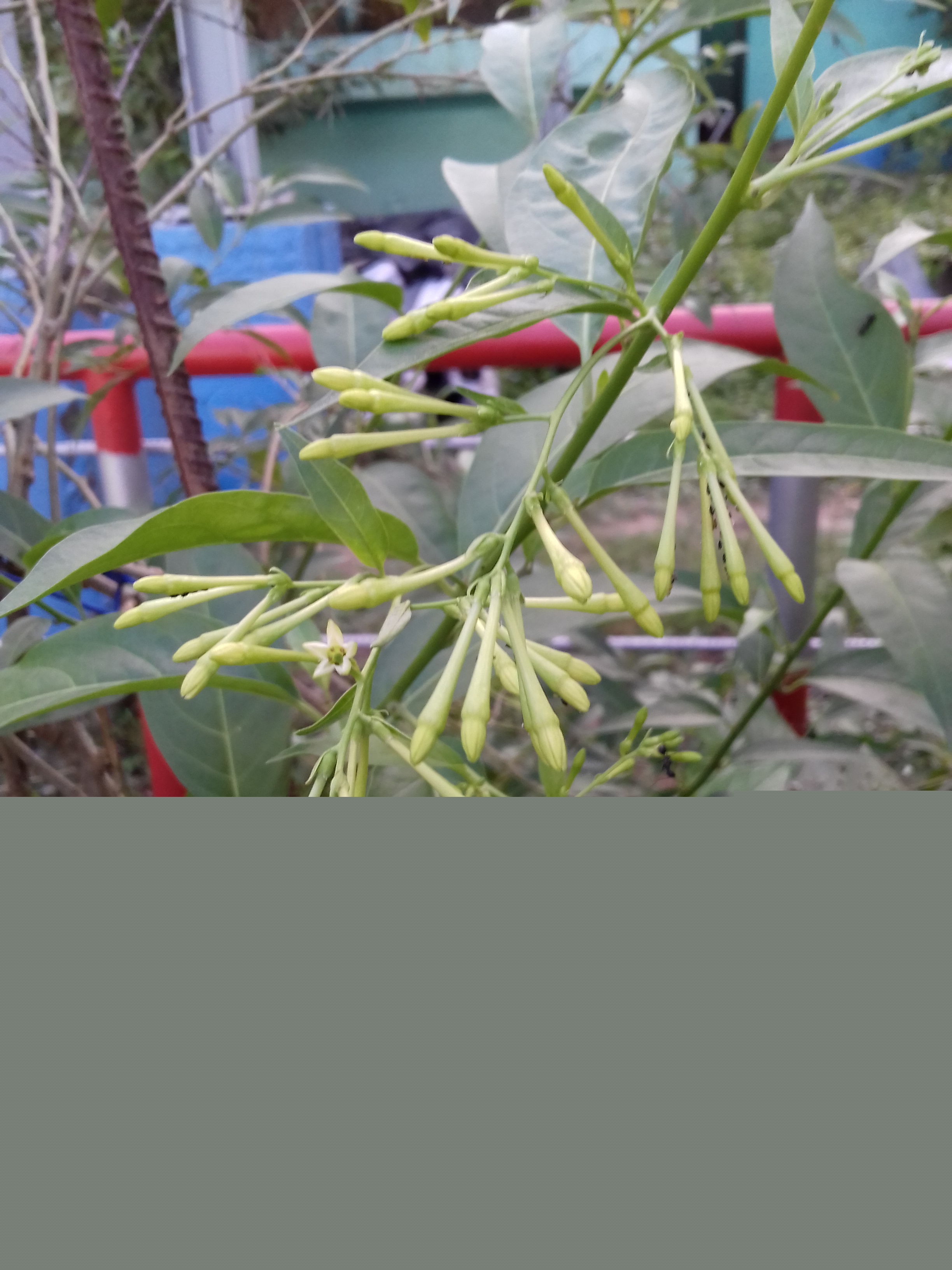 20181031_160239.jpg