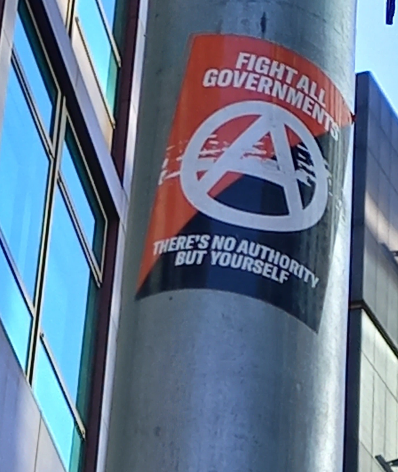 fight all government (1).jpeg