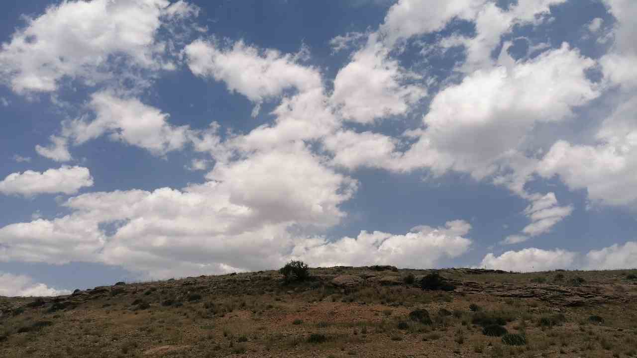 IMG_20250602_123848.jpg