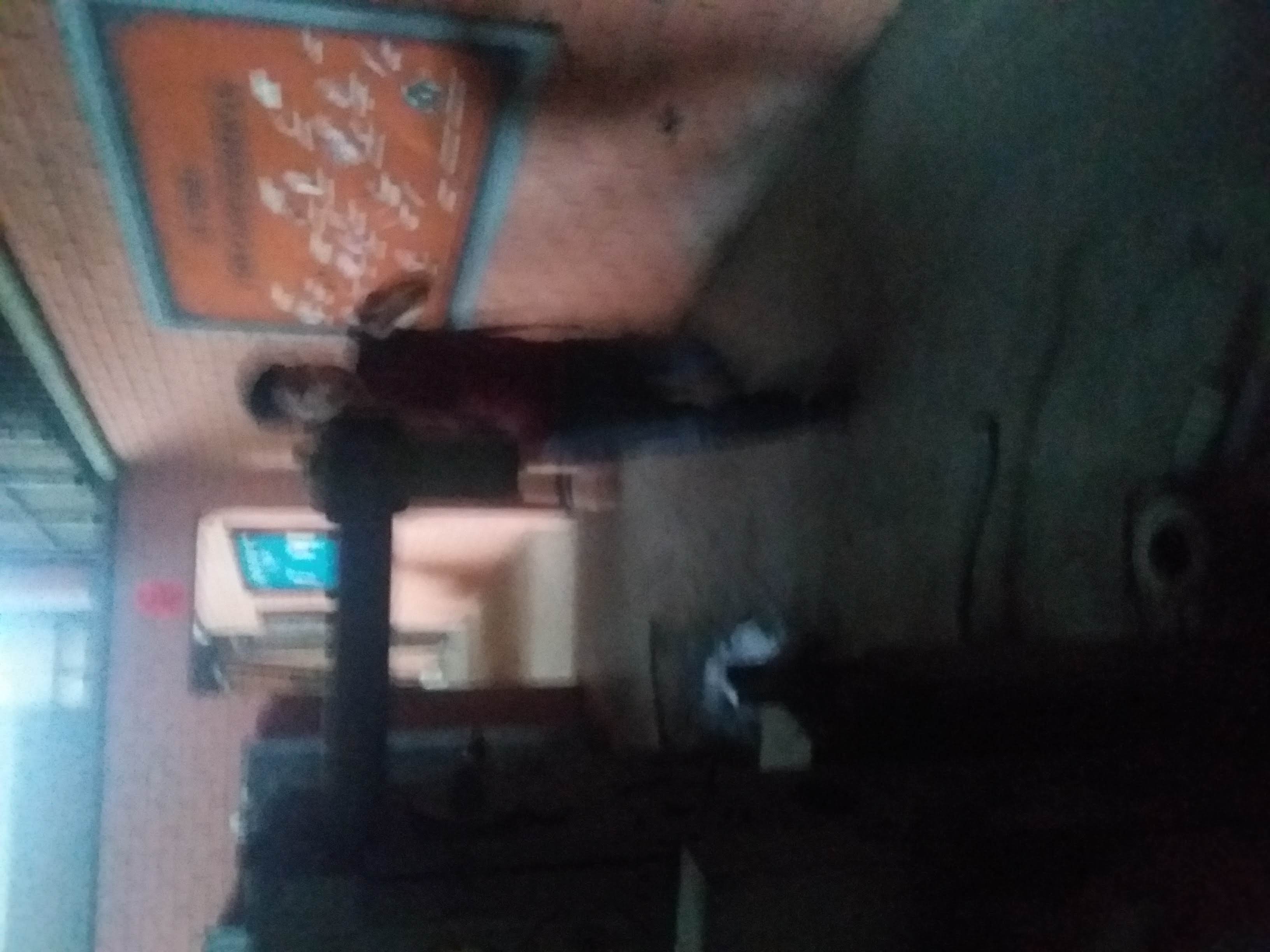 20220310_105142.jpg