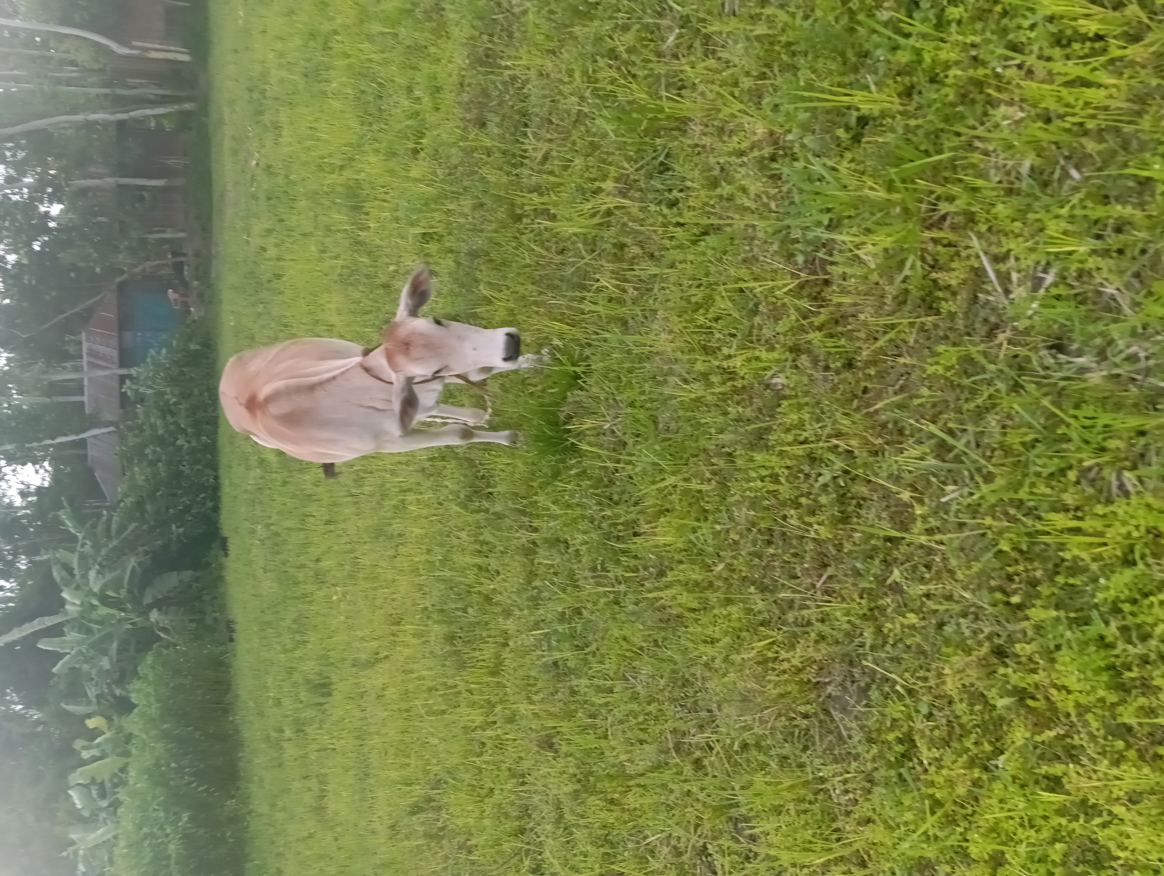IMG_20250725_162631.jpg