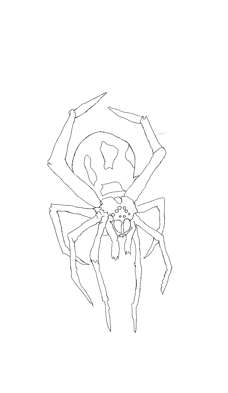 hauted spider~2.png