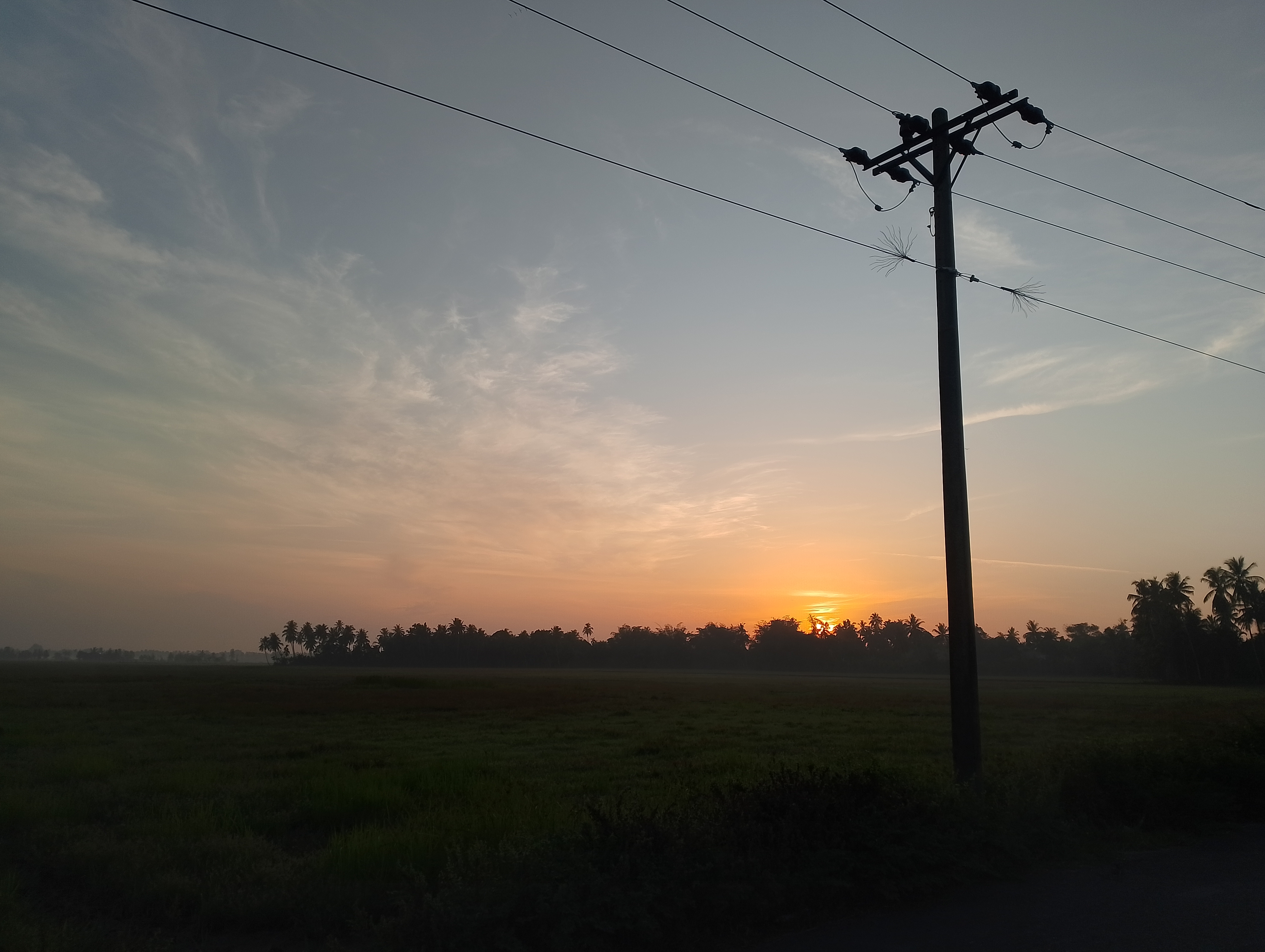 IMG_20250706_063427.jpg