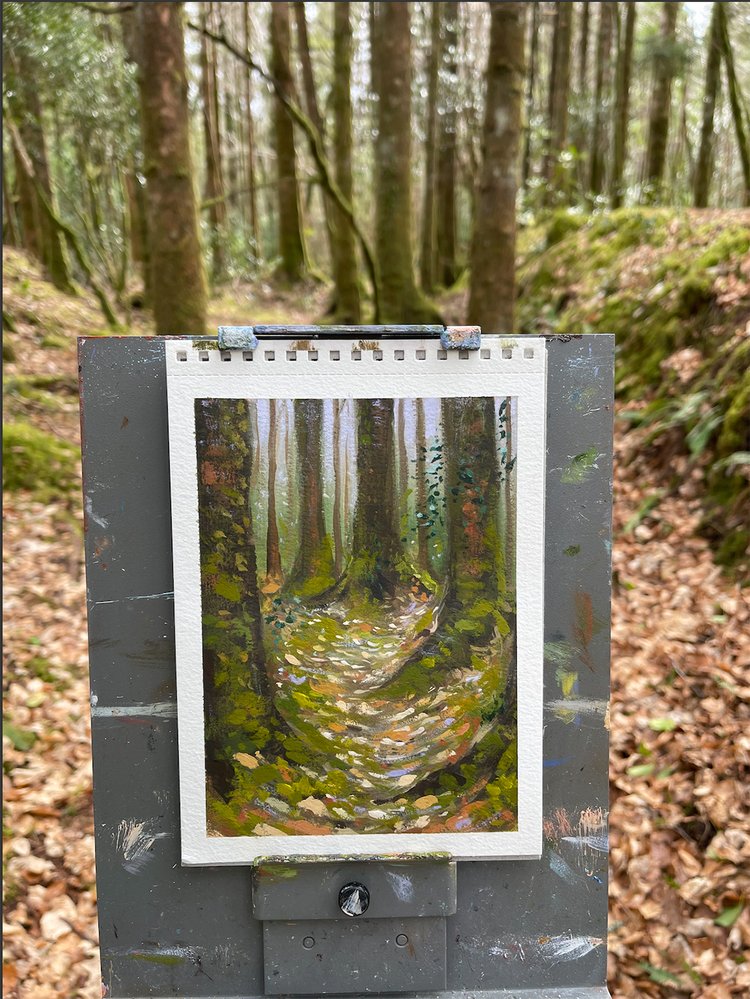 tourmakeady-forest-painting---robbie-allen-artist---for-web.jpg