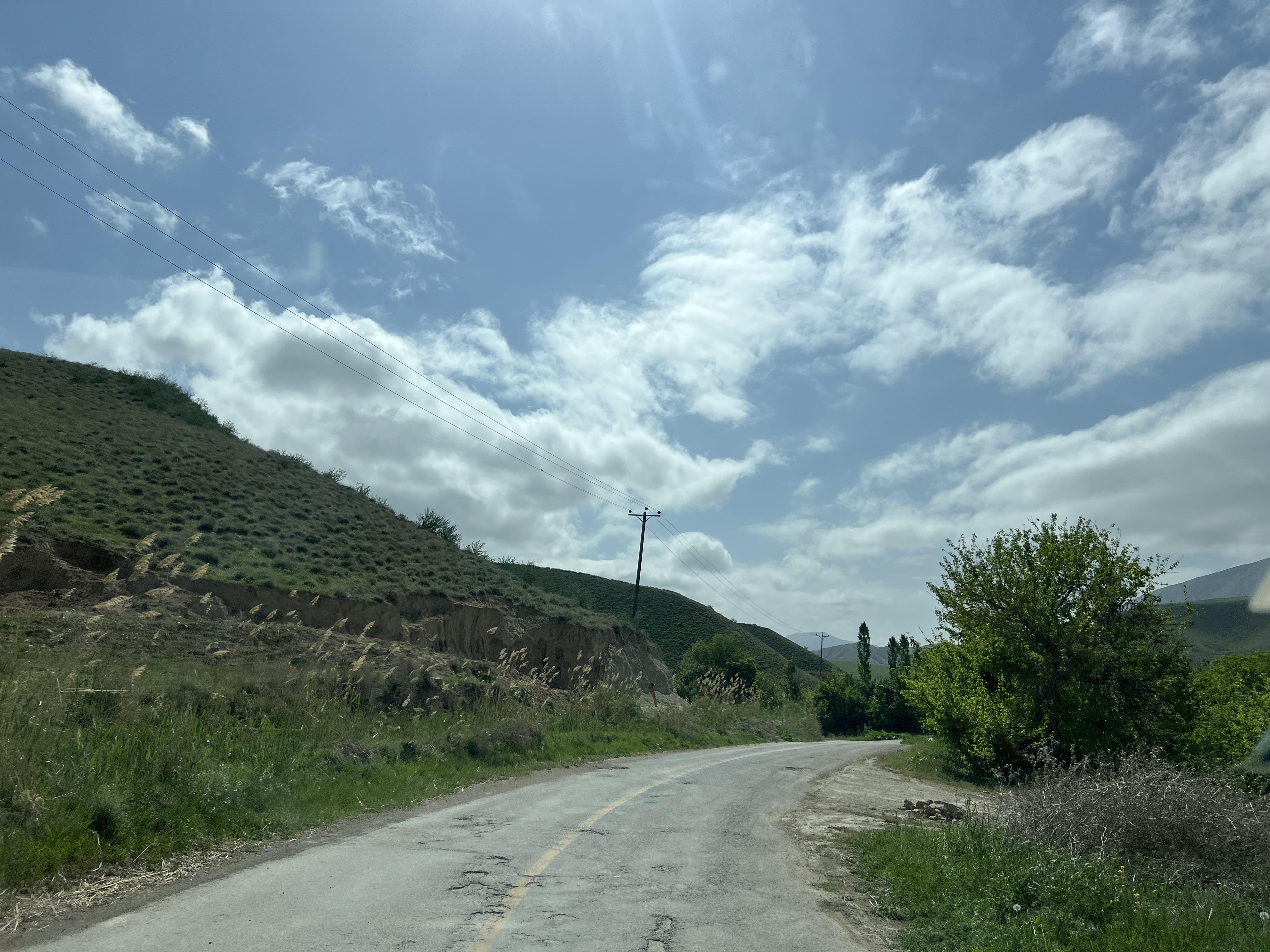 IMG_8027.jpeg