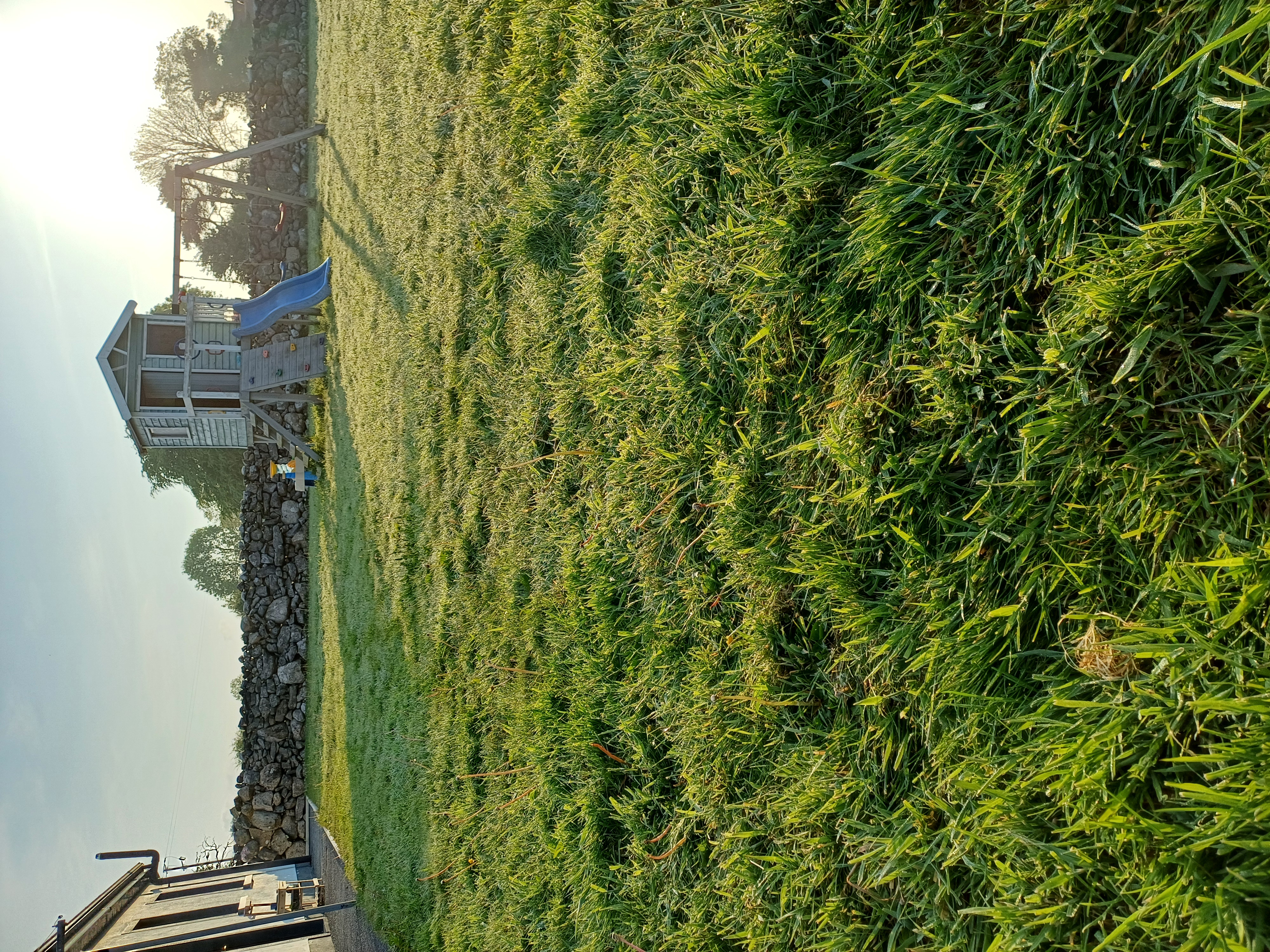 20250511_065358.jpg