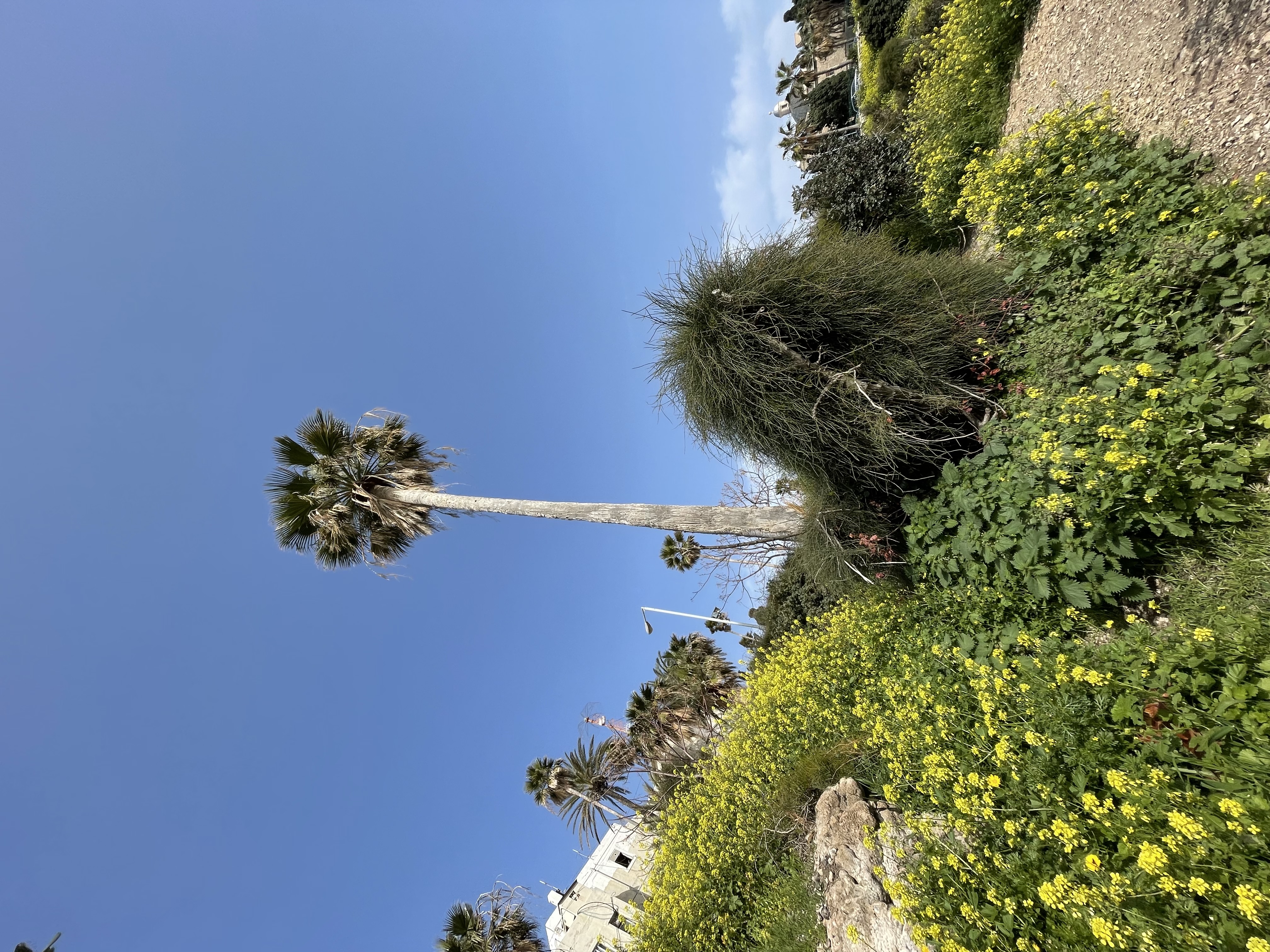 IMG-4283.jpg