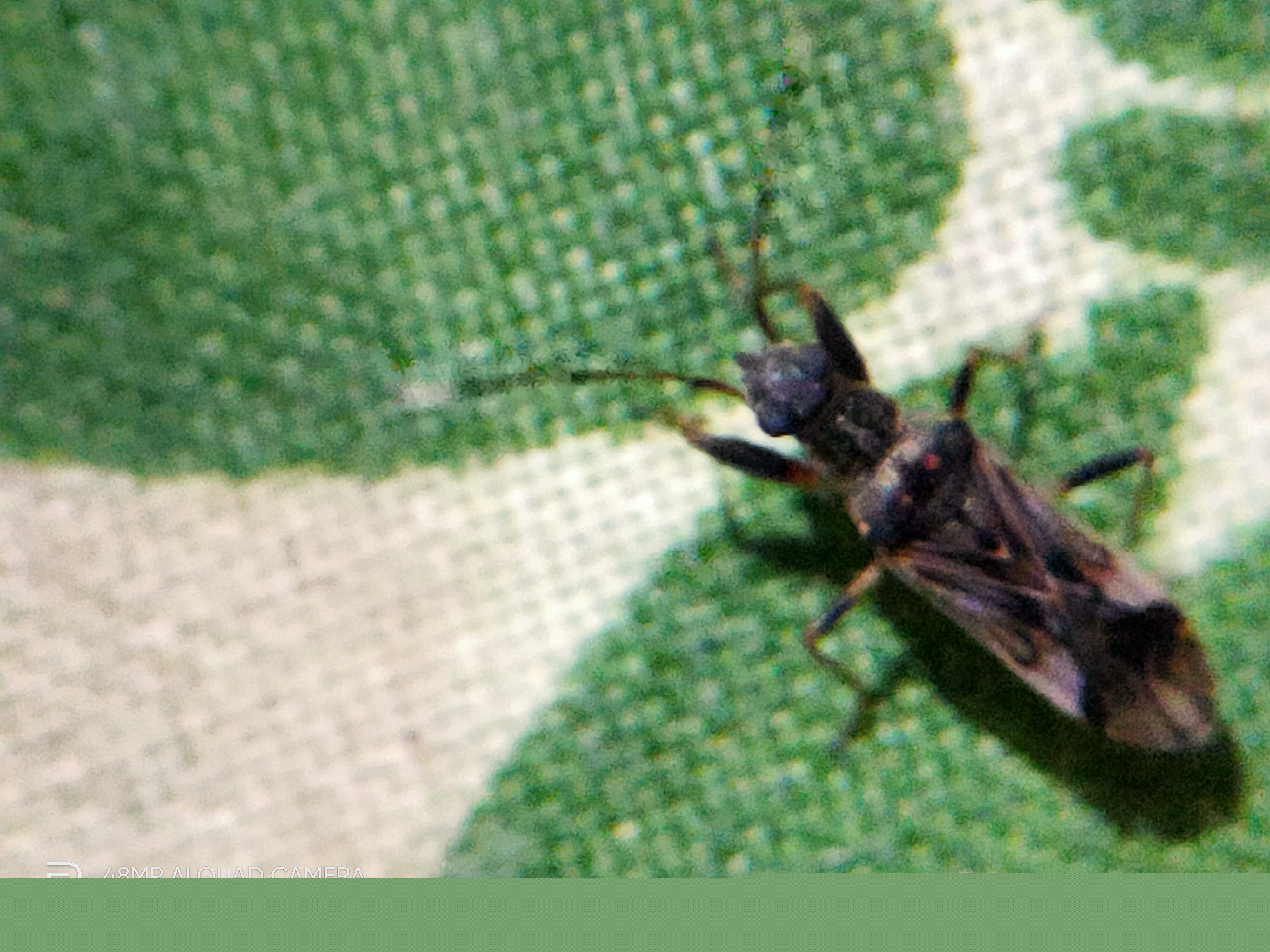 IMG20211001191823.jpg
