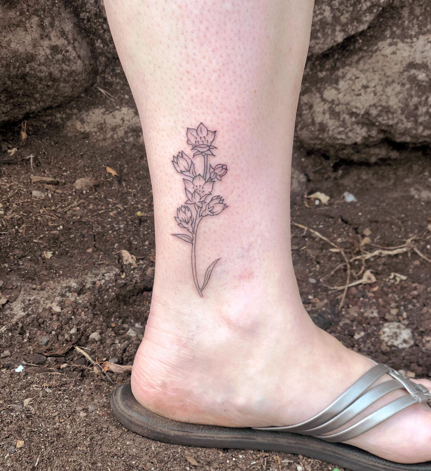 Larkspur Ankle Tattoo -emhalbs.jpg