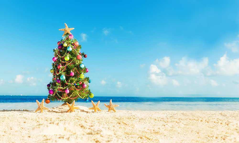 imgchristmastreeonbeach21000px.jpg