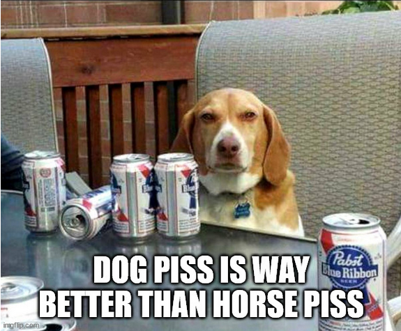 Screenshot 2022-05-21 at 19-20-42 beer dog Meme Generator - Imgflip.png