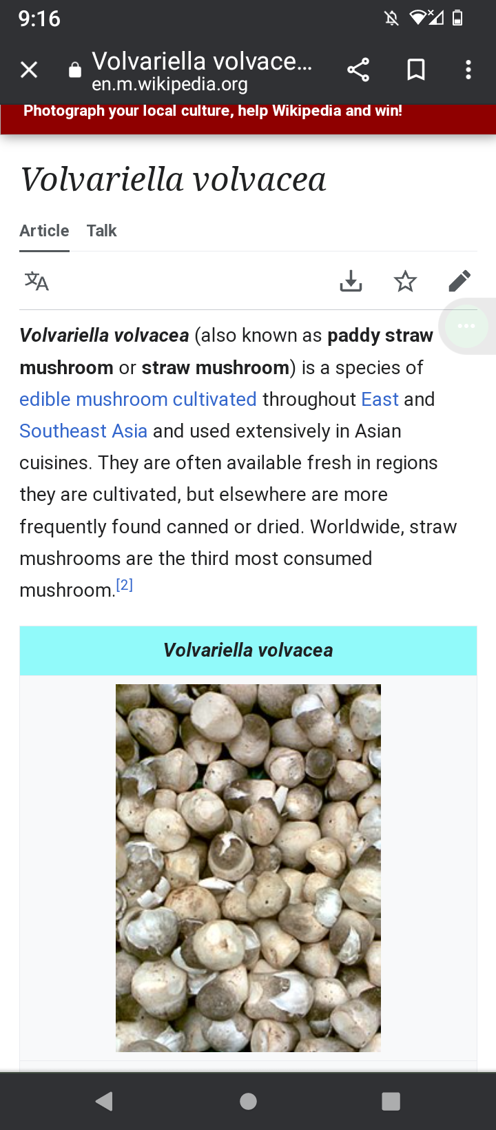 Screenshot_20230228-211611.png