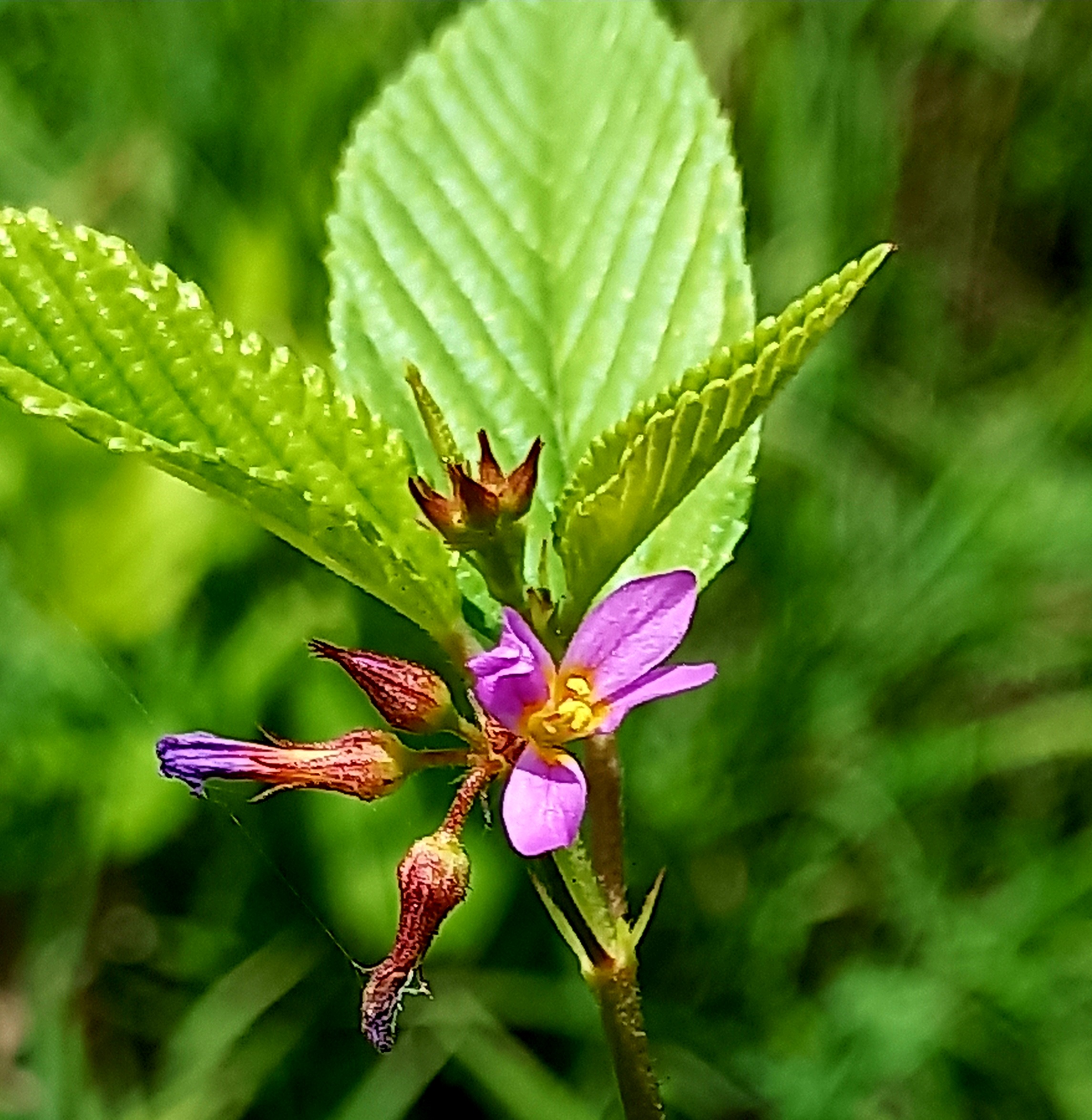 20220906_112051.jpg