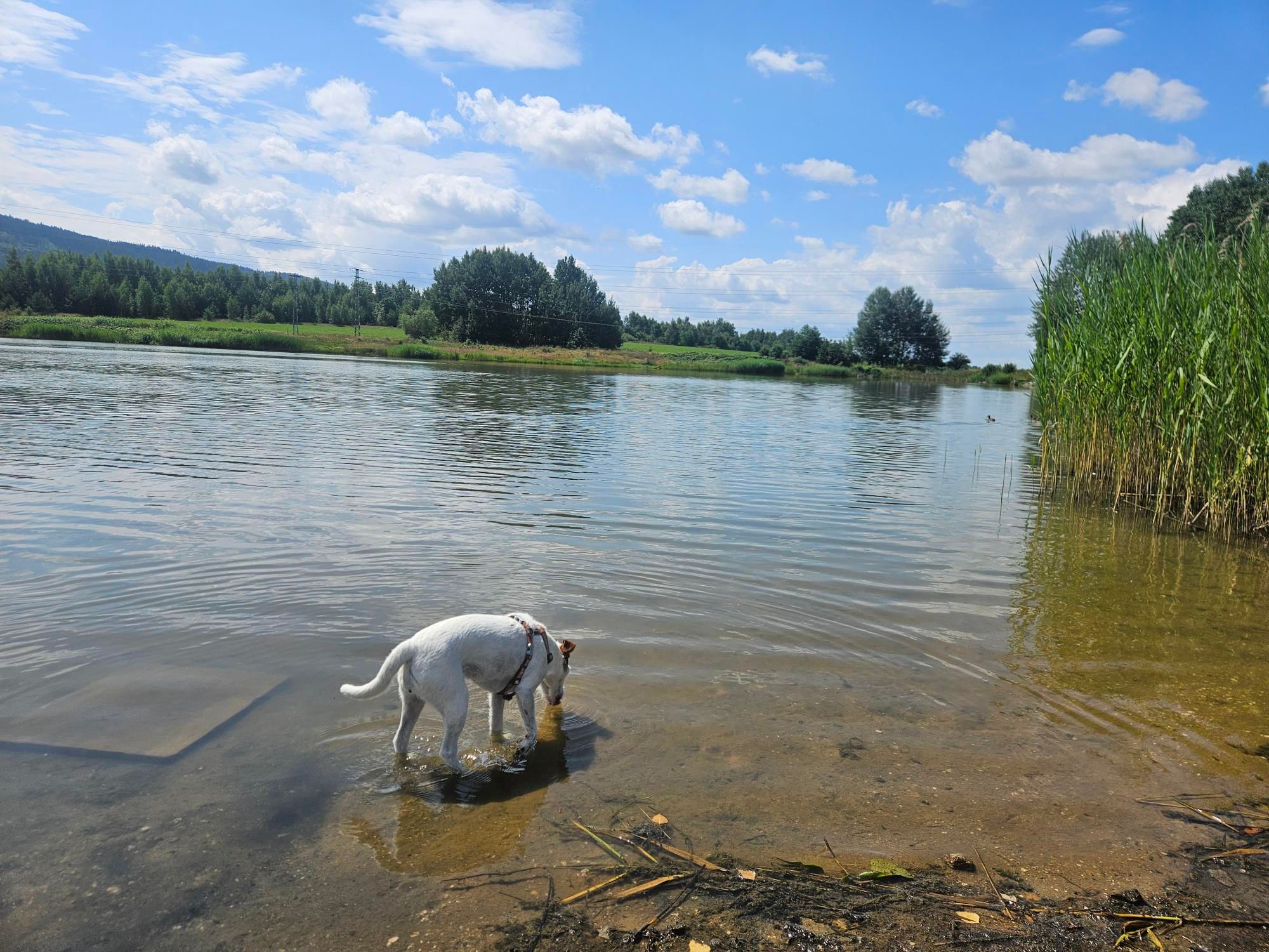 footer_image_15252693406.png
