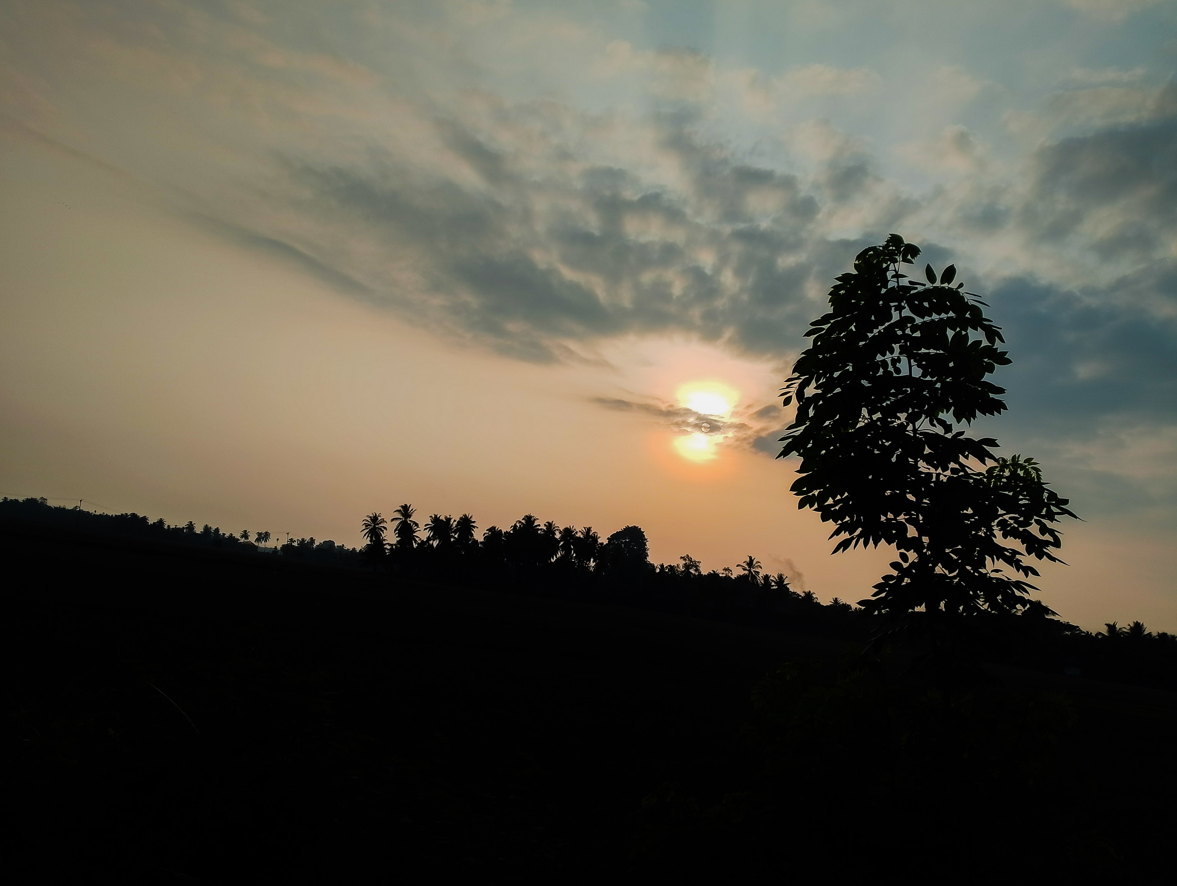 PSX_20240528_122904.jpg