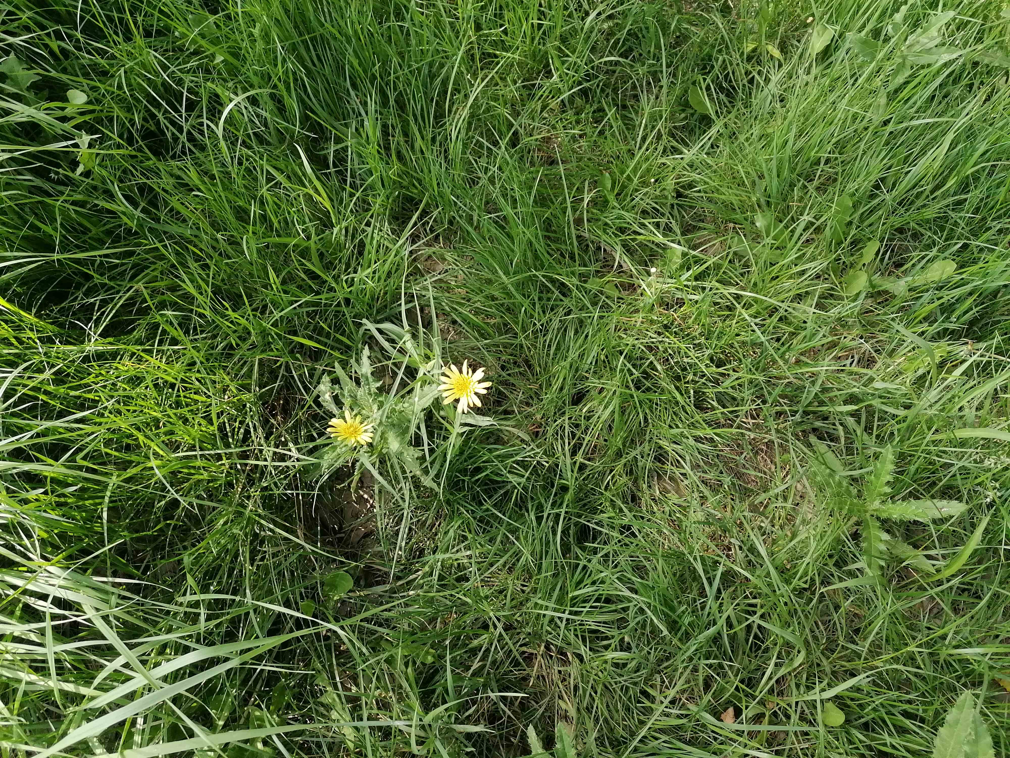 IMG_20250528_083913.jpg