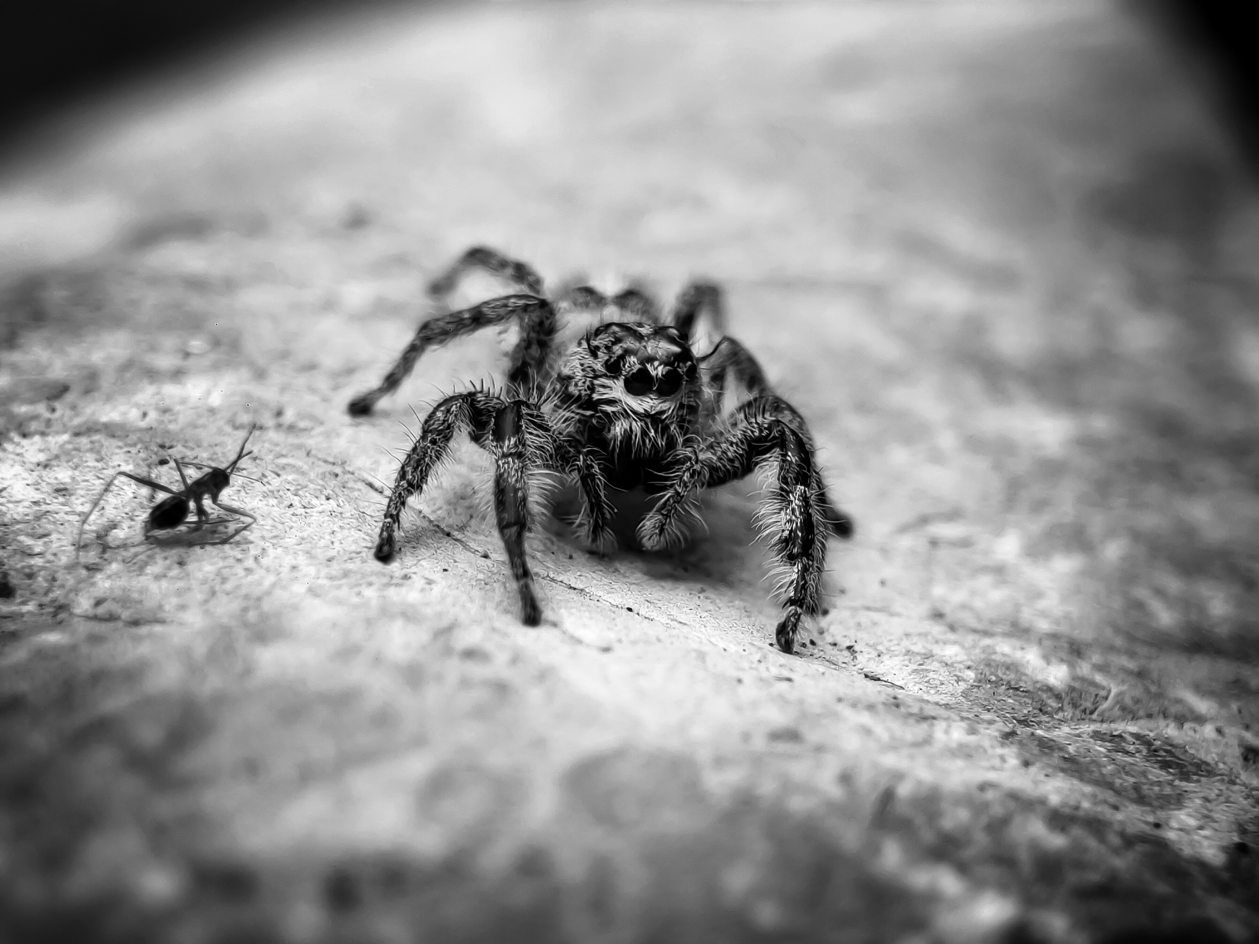 1000085899 (1).jpg