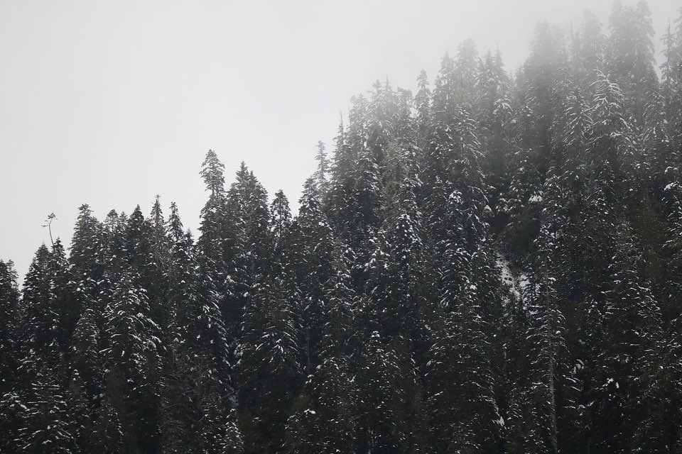 15C2A919-CB66-455B-AA5D-D6481405E496.jpeg