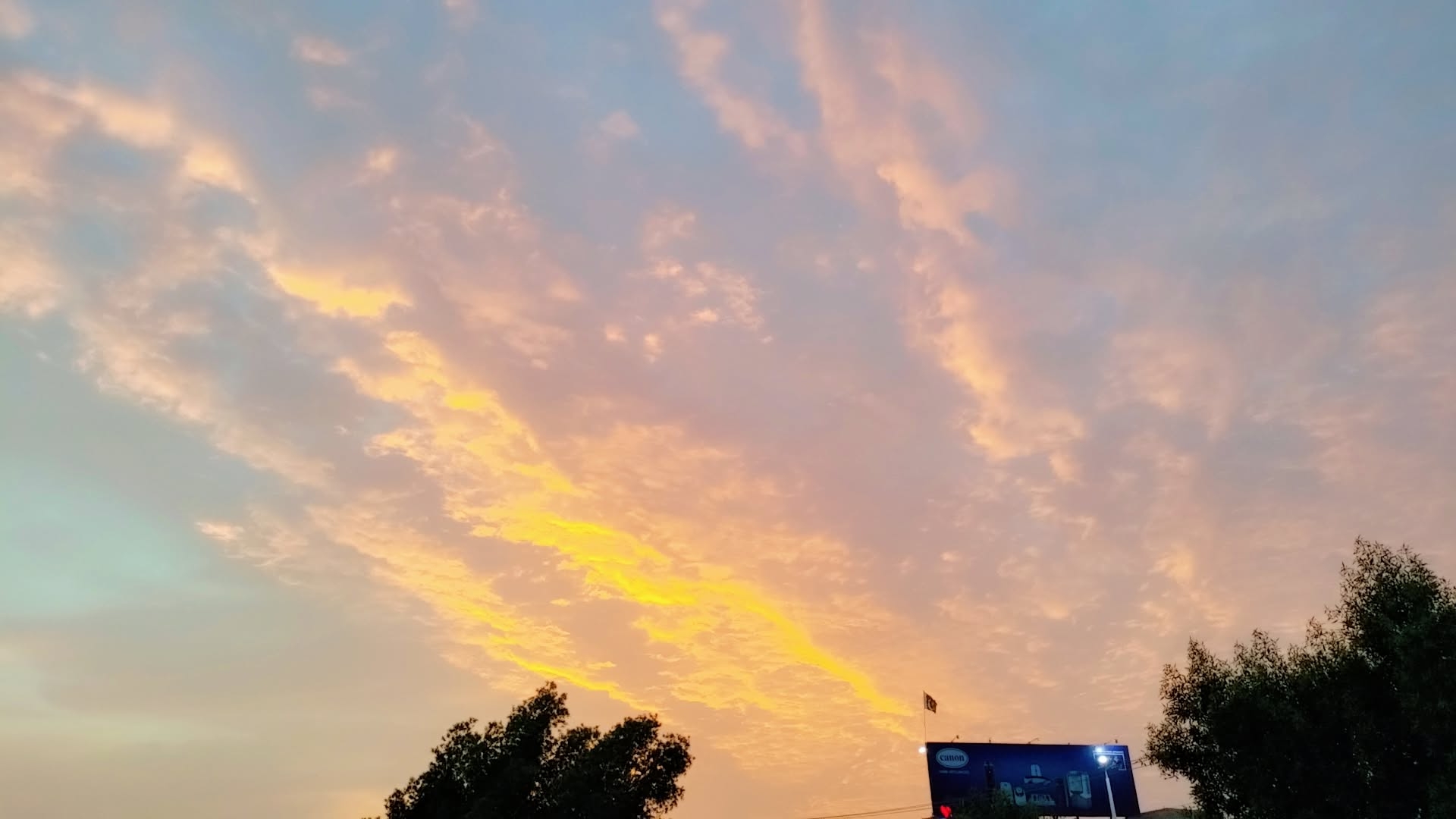 IMG_20250813_080402.jpg