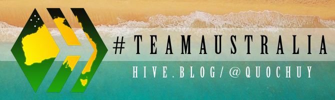 team-australia-hive-badge-slim-beach-quochuy.png