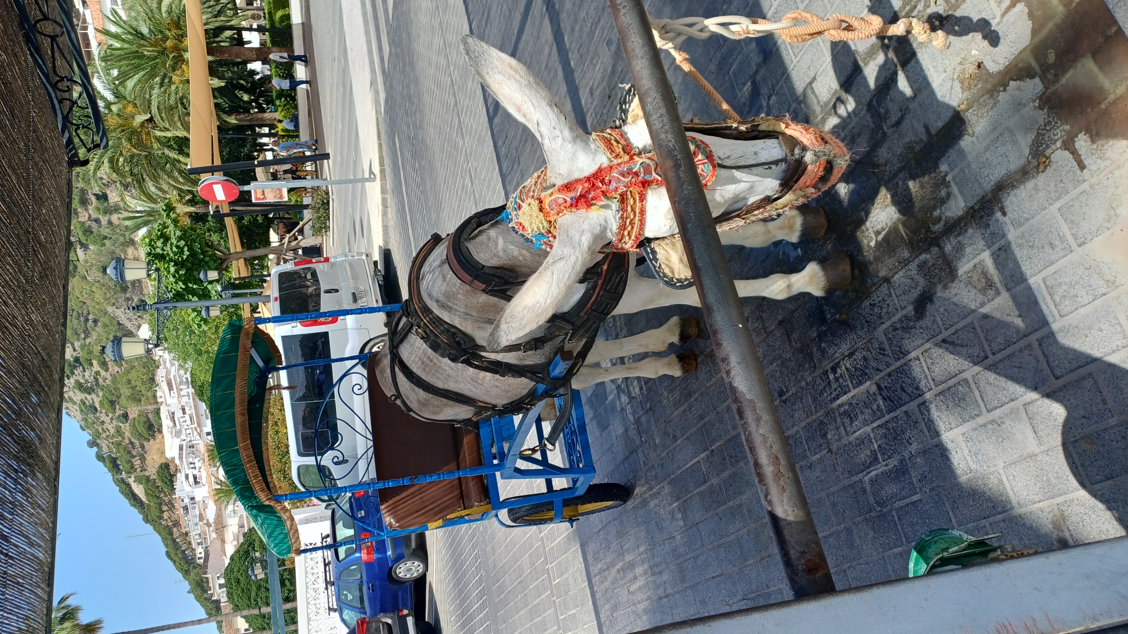 IMG-20250615-WA0021.jpeg