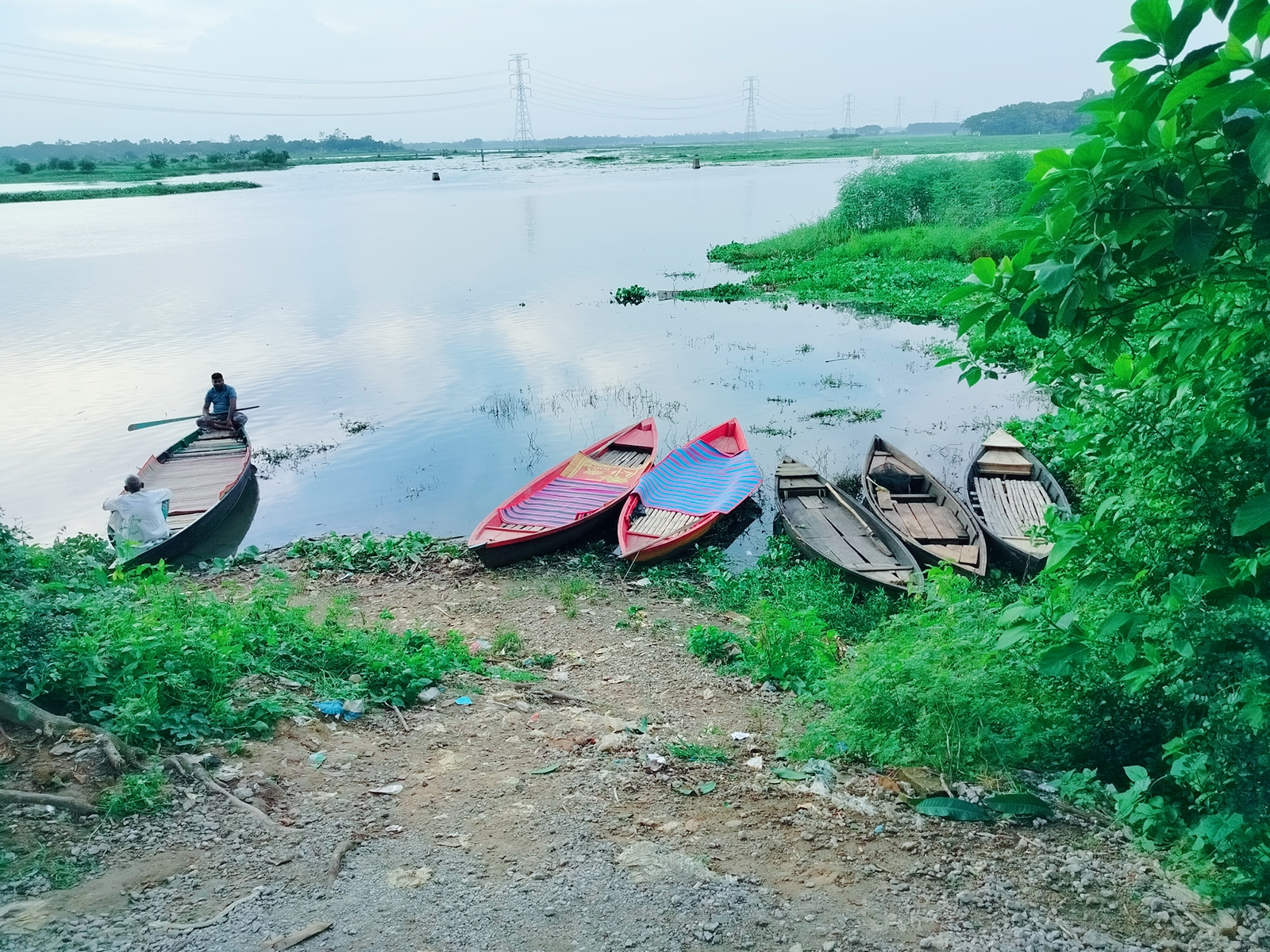 Photography of the beauty of nature.