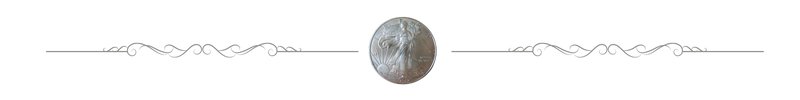 silver coin text divider.png