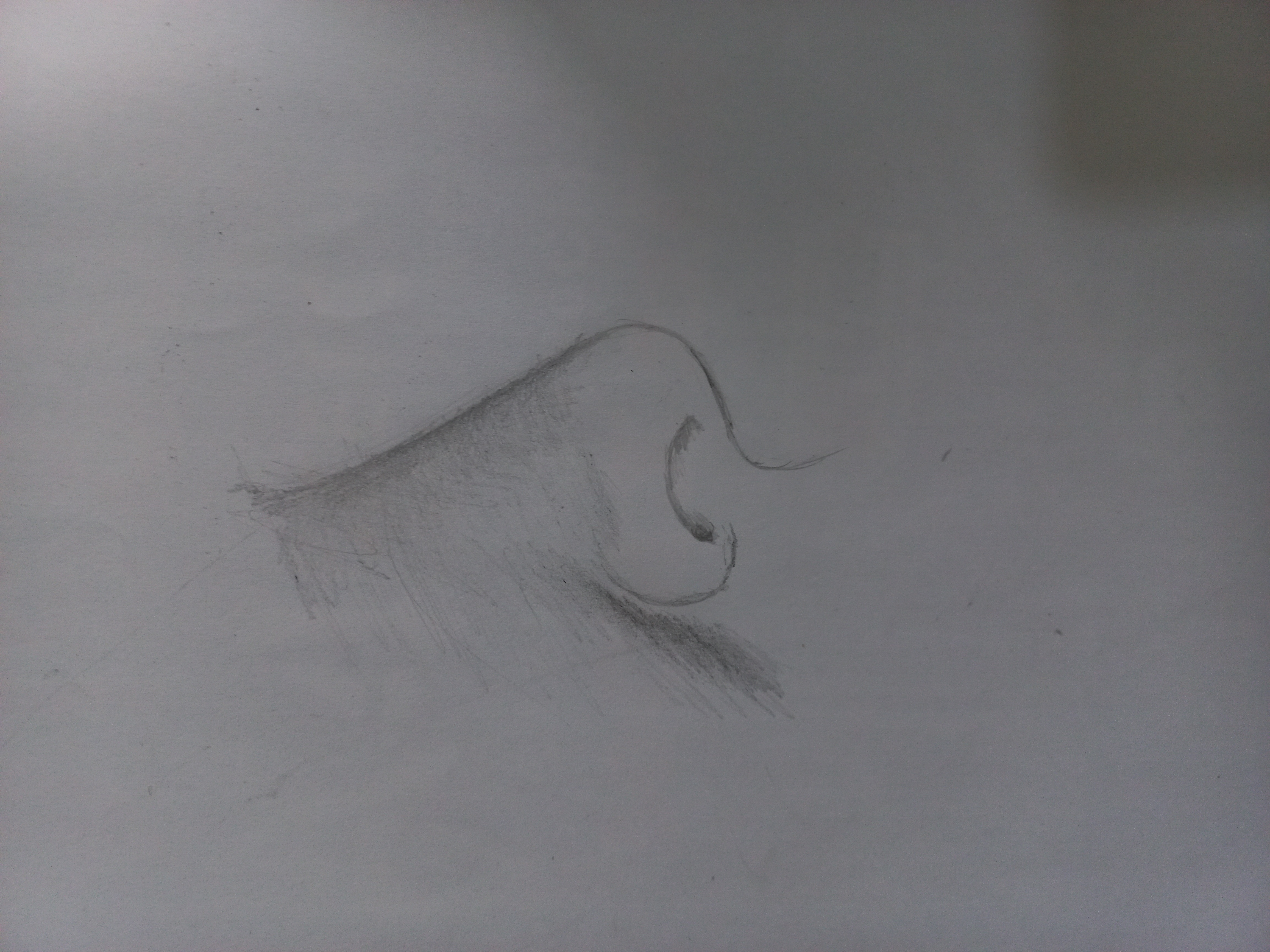 20220804_171131.jpg