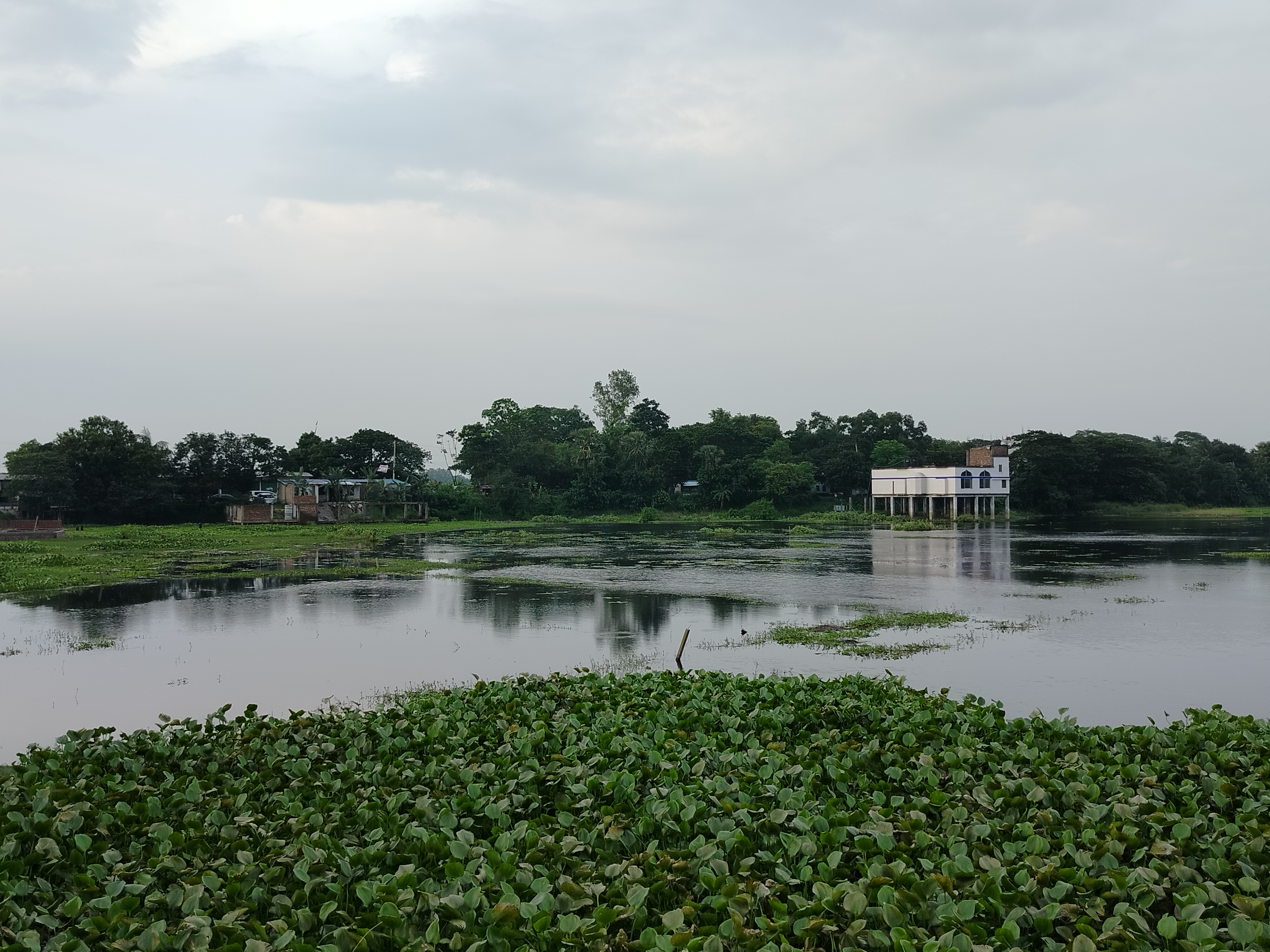 IMG20250623180621.jpg