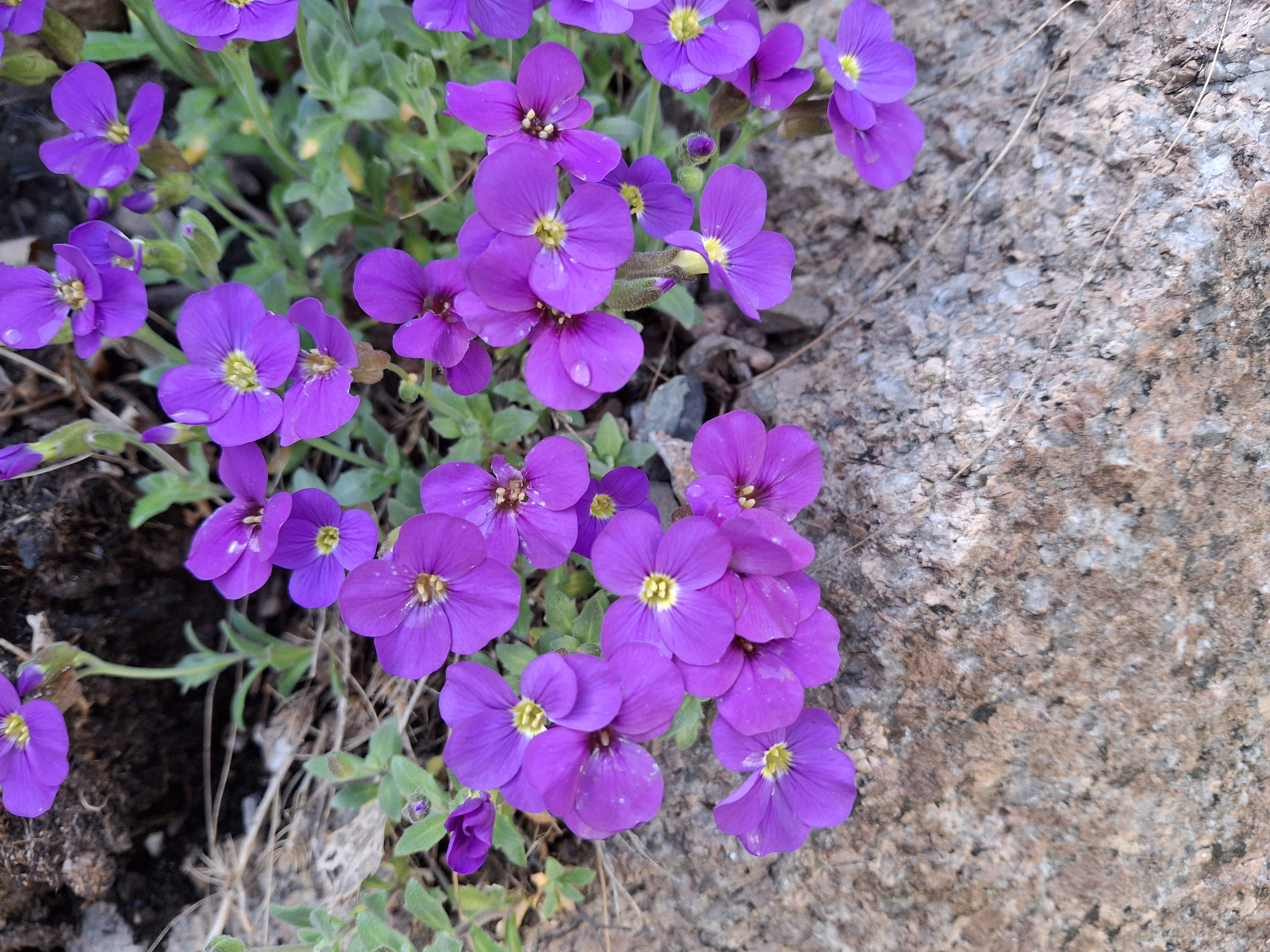 20240509_171920.jpg
