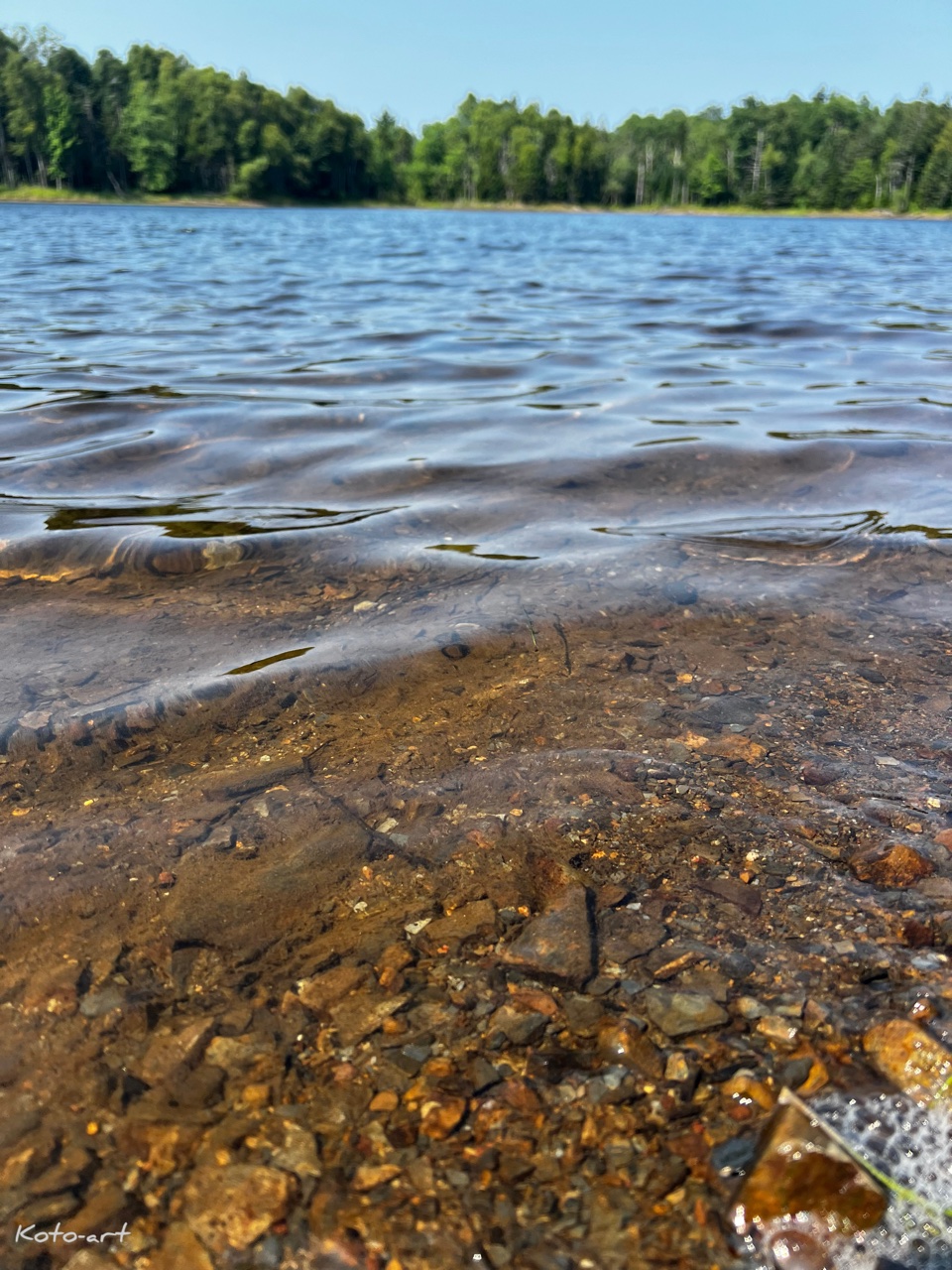 Good and Bad Happenings During a Lake Morning Walk 朝の湖散歩での良いこと悪いこと [English and Japanese]