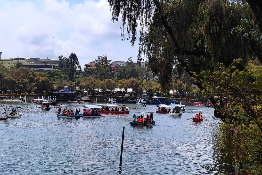 IMG_20240610_104421.jpg