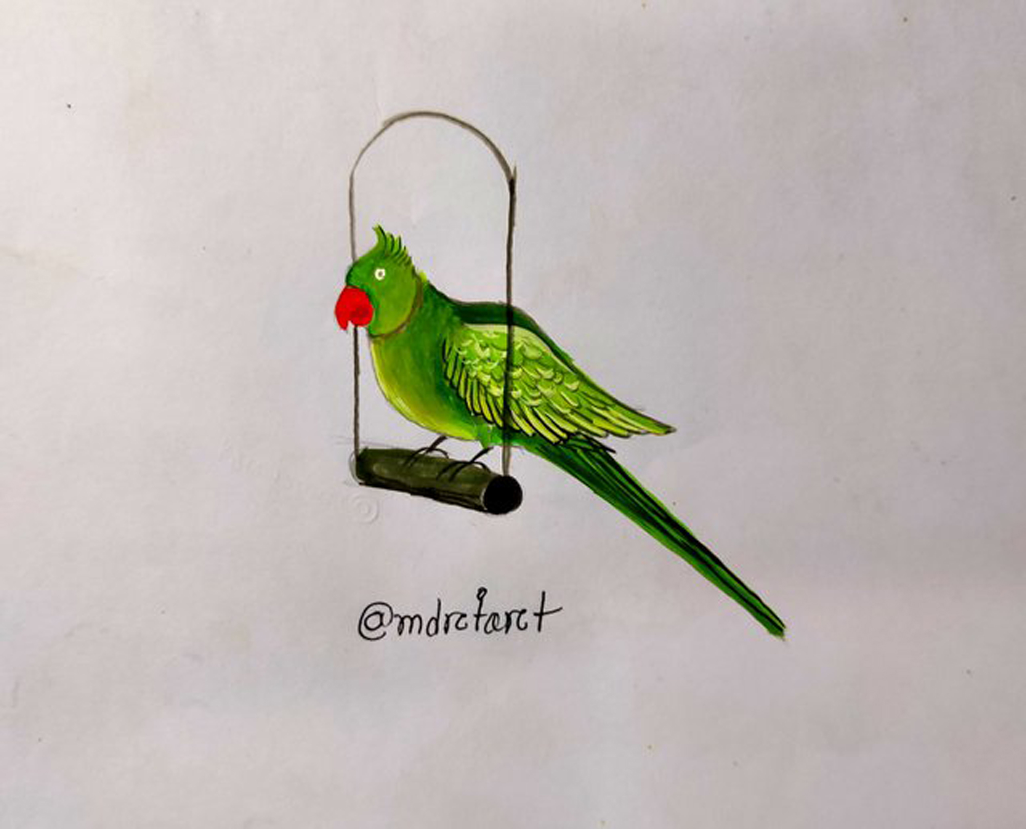 How to Draw a Parrot - HelloArtsy