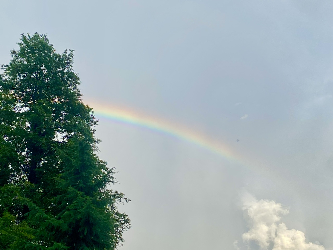 IMG_0357.jpeg