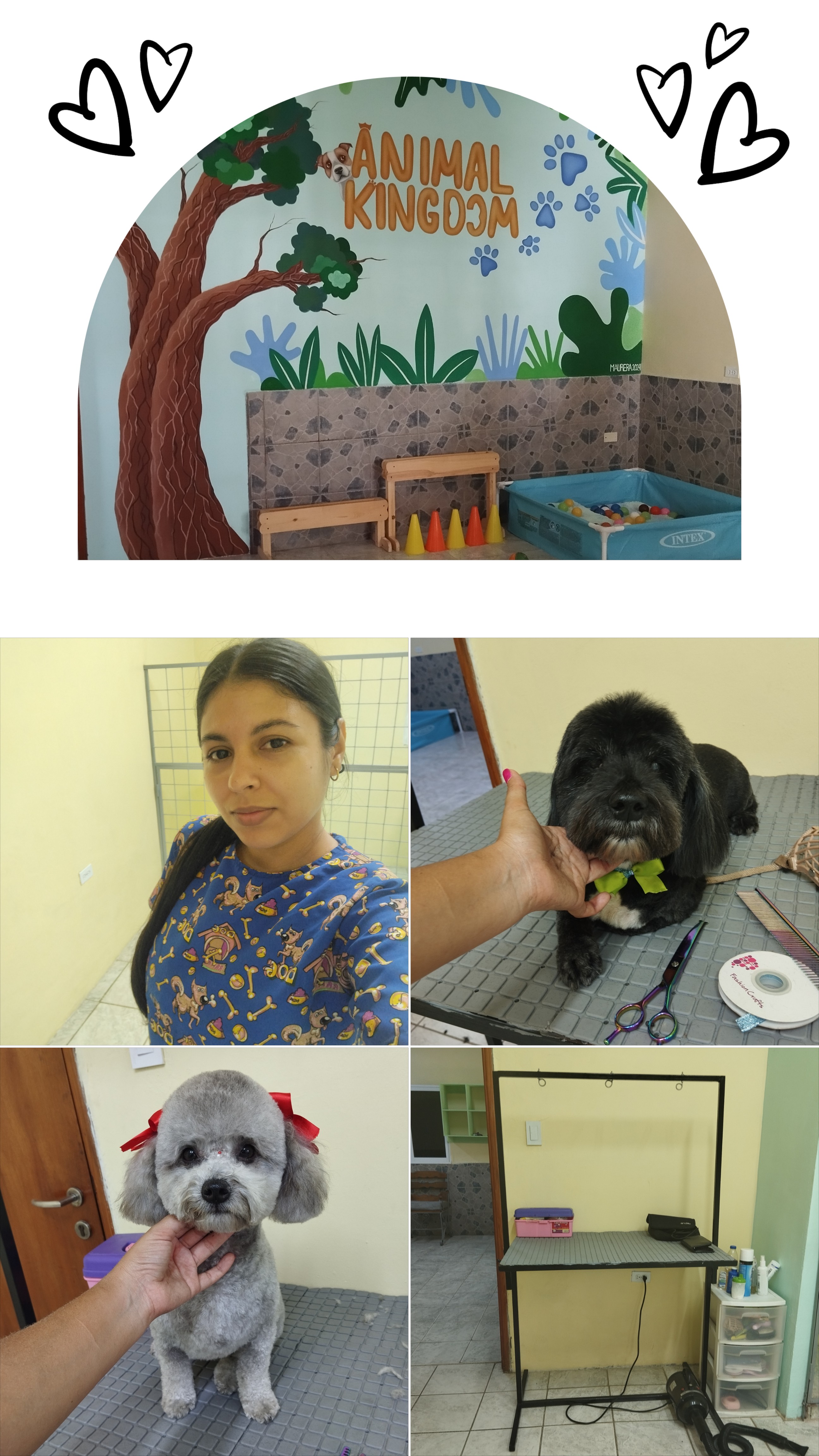 20250627_163313-COLLAGE.jpg