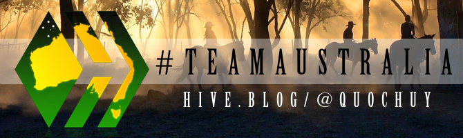 team-australia-hive-badge-slim-cowboys-quochuy.png