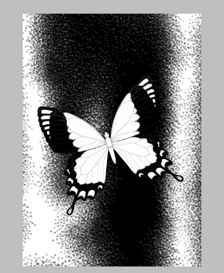 Screenshot_20250507-163442.jpg