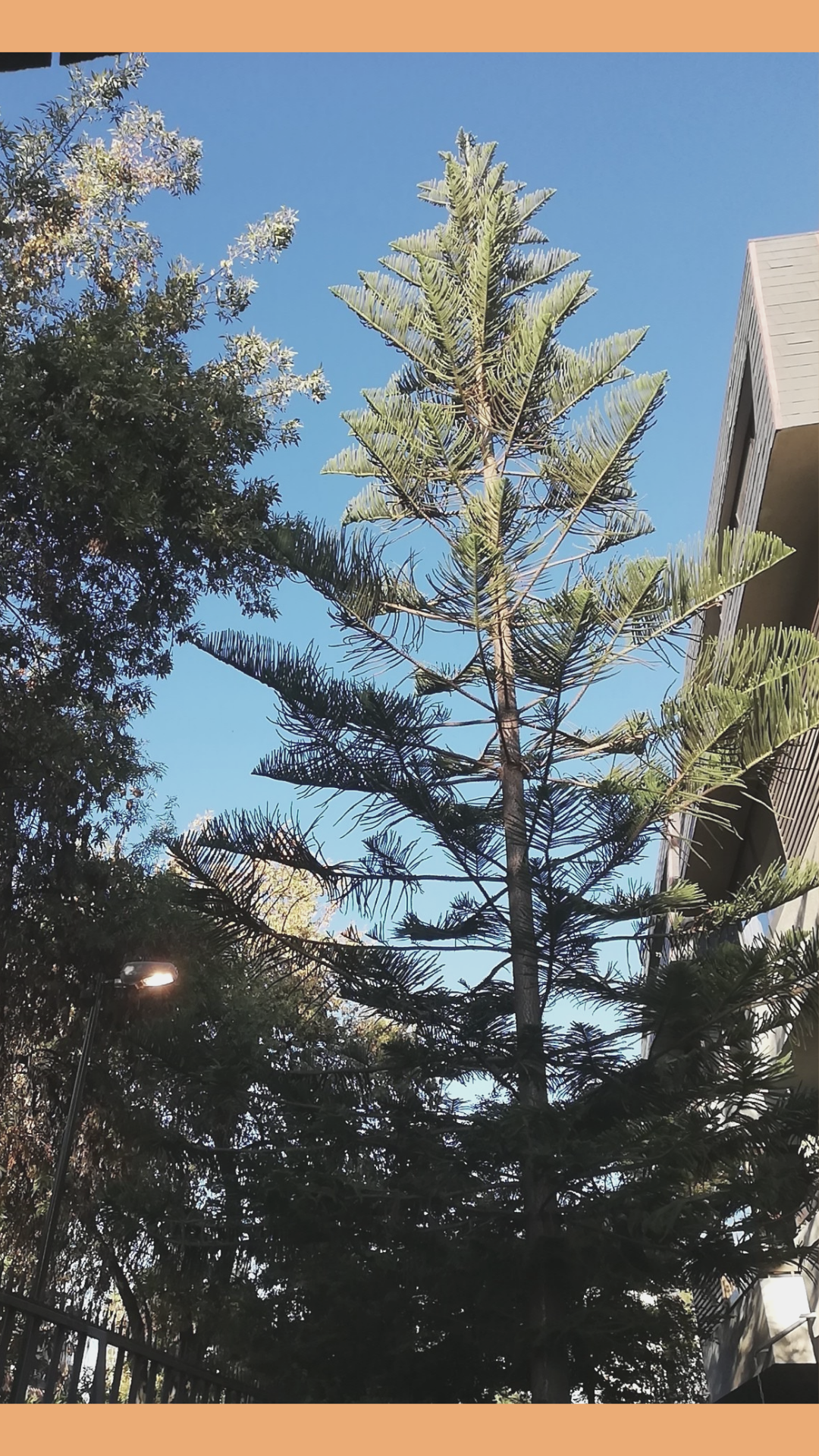 20210507_090702_0000.png