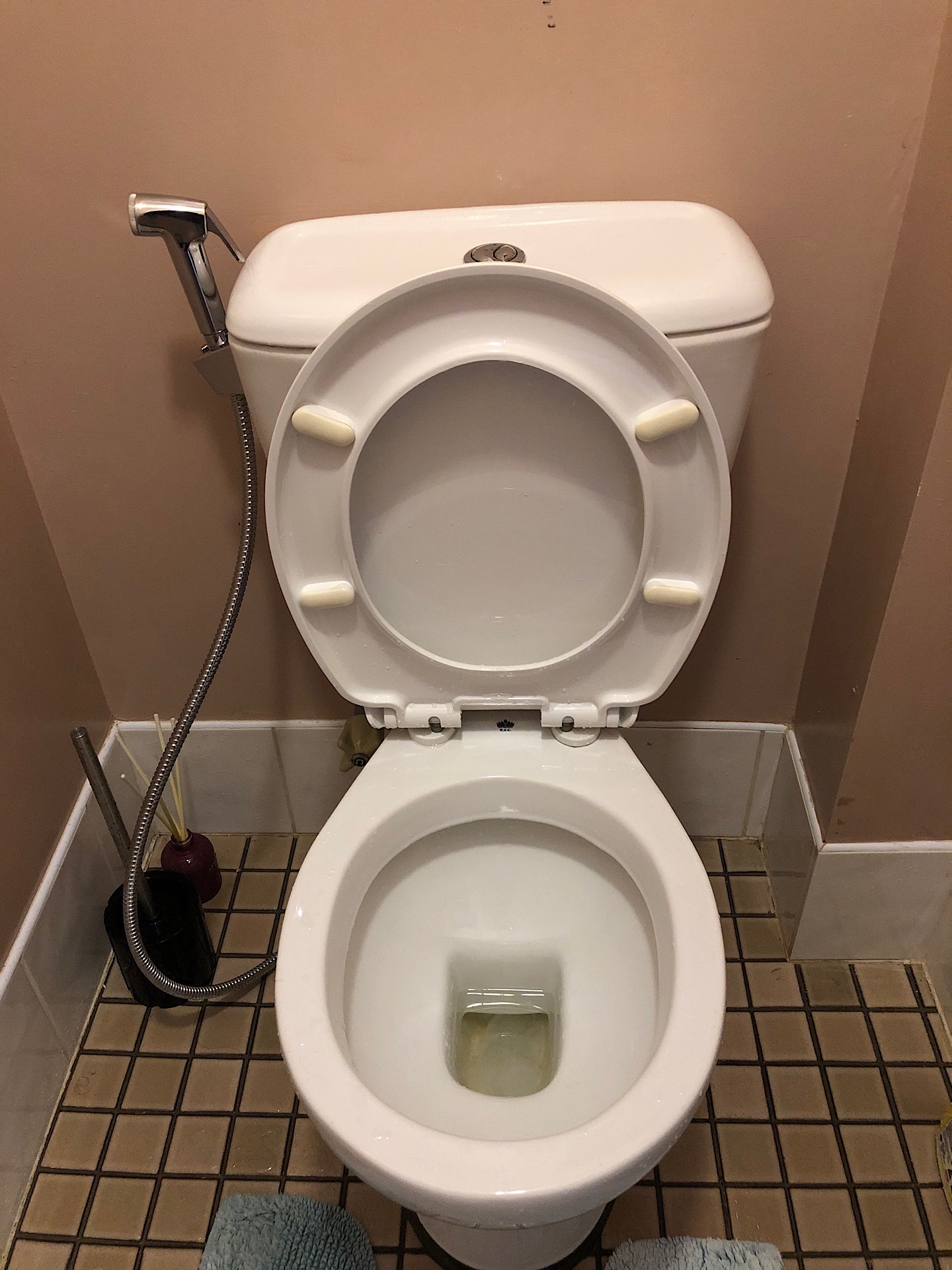 Toilet trigger sprayer