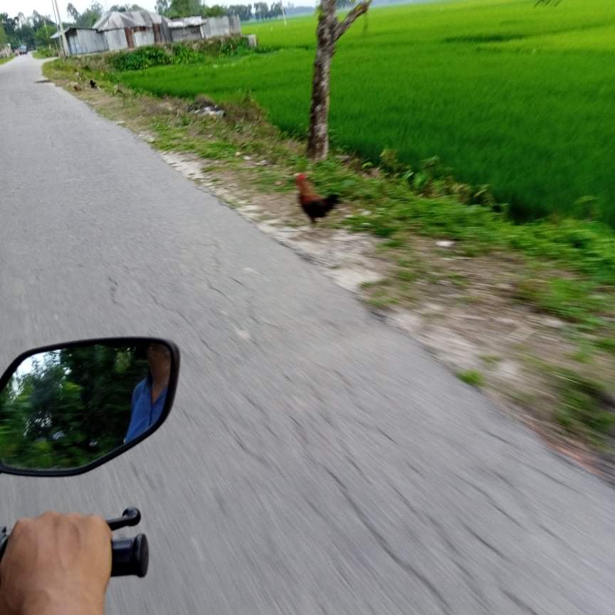 received_566742277861188.jpeg
